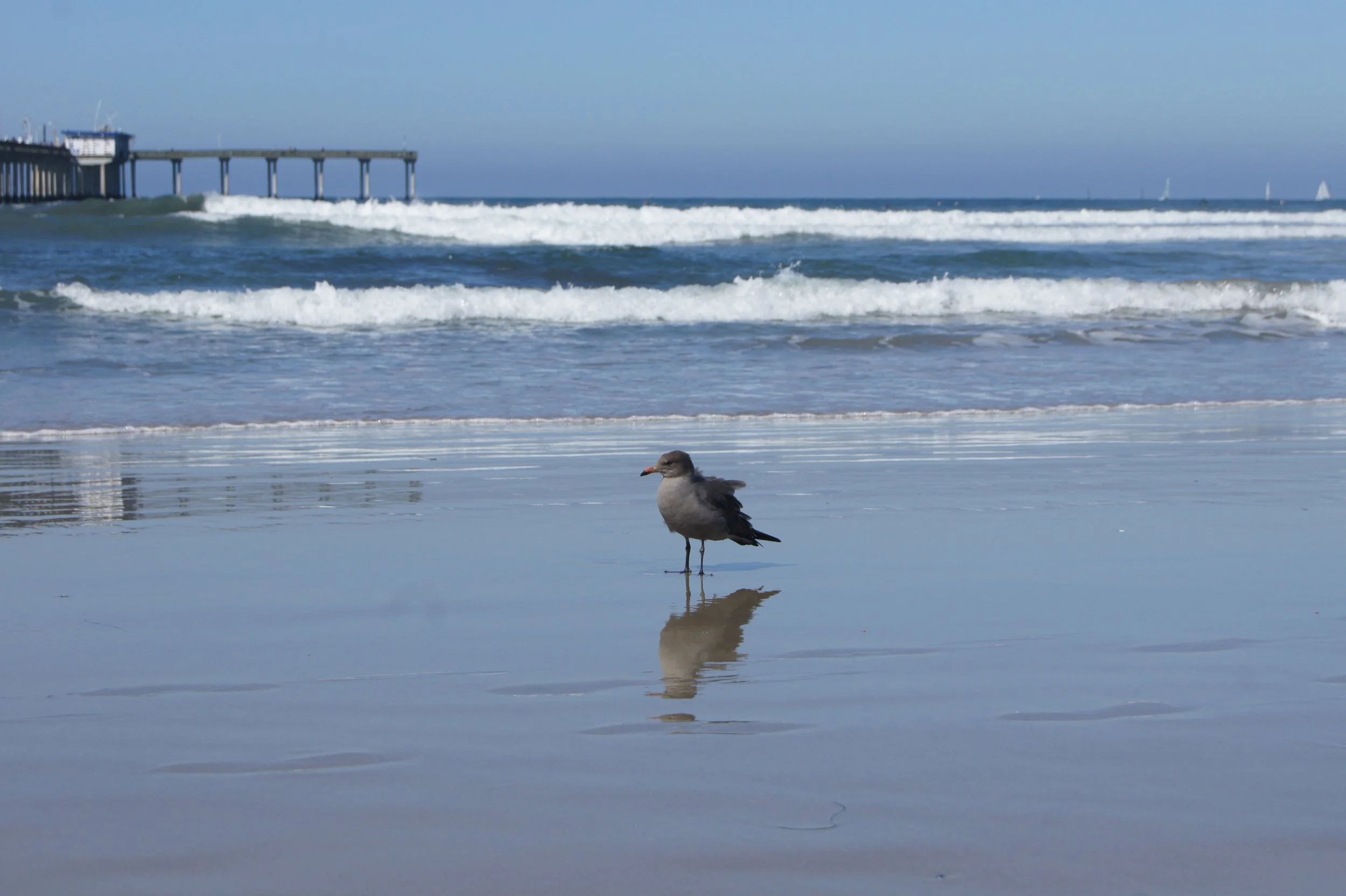 San Diego, California