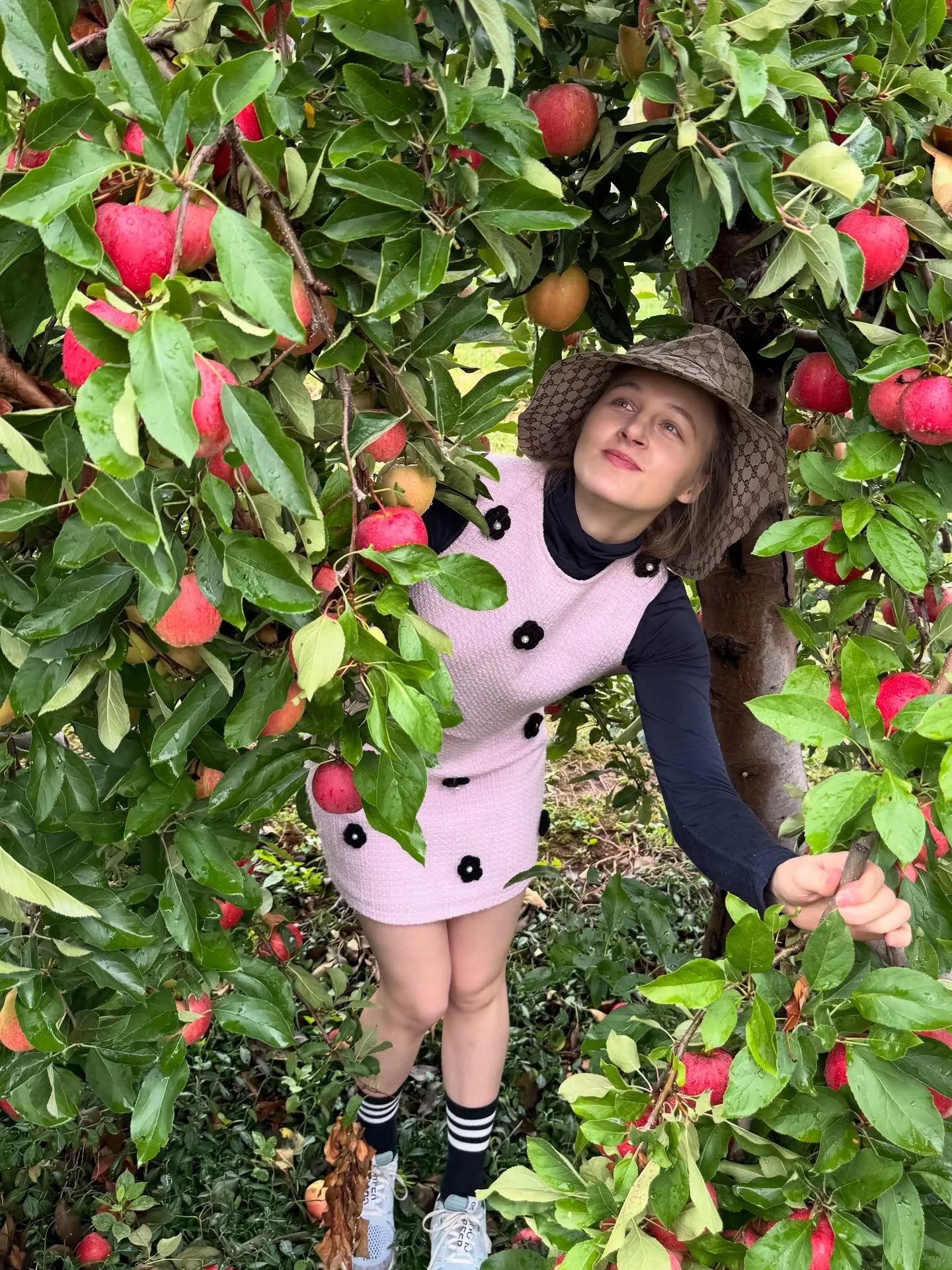 Stylish apple picking situation. 🐞

#vintagestyle #glamorous #chic #lilac #lilaccolor #applepicking #fallfashion #fallfashiontrends #matching #applegirl #countrystyle #fashionicon #fashionlove #stylegoals #stylish #actress #fashionable #acting #acti