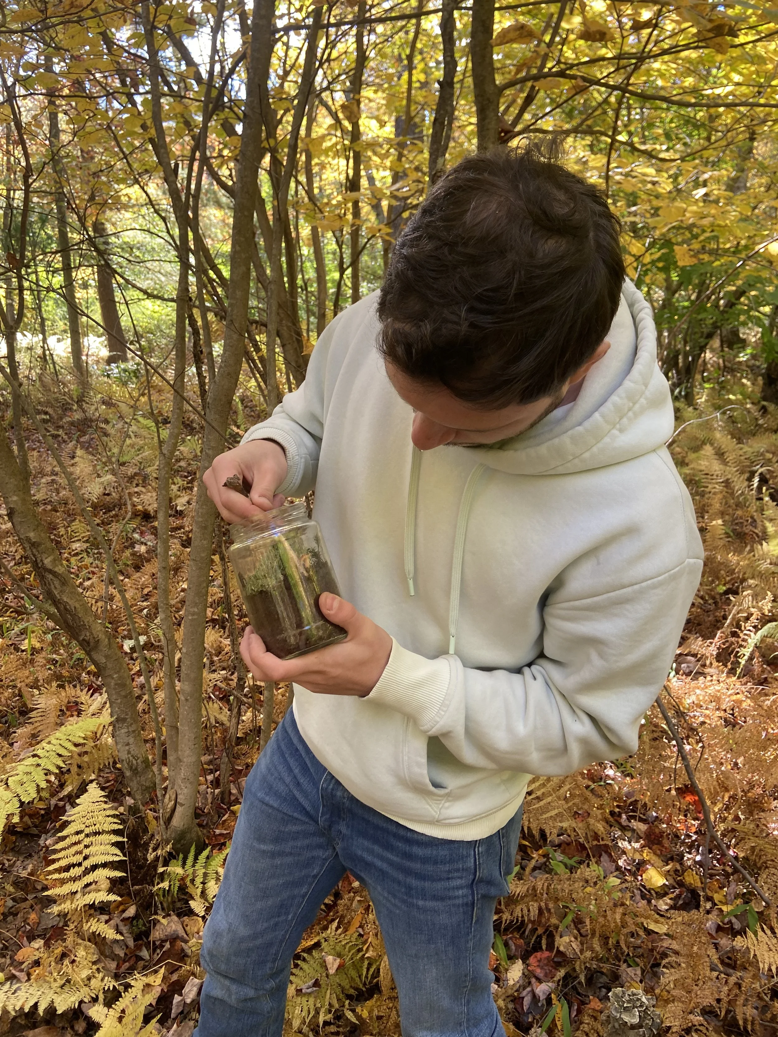 Our Nature Crafts Terrariums