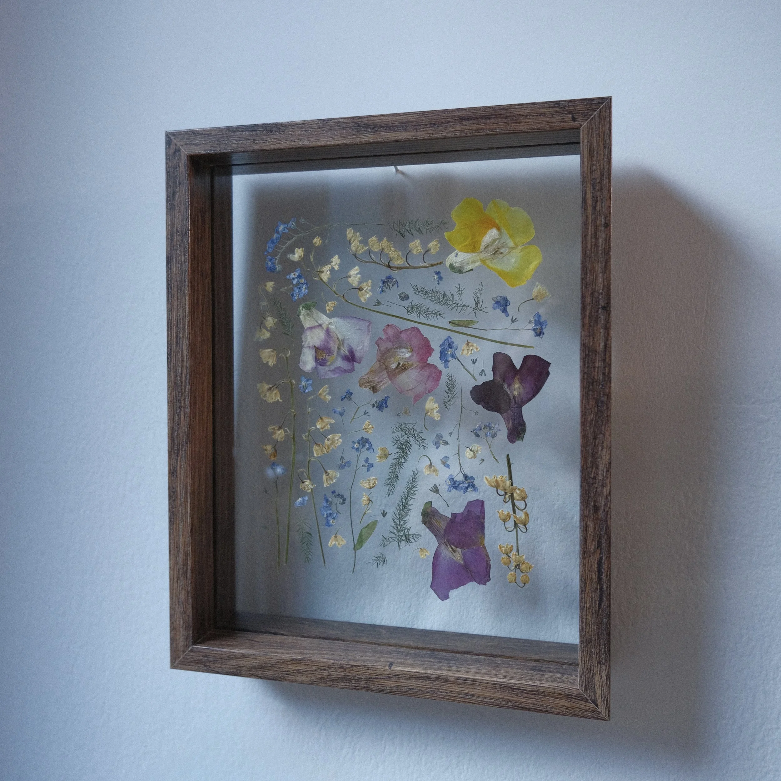 Framed pressed flower art with various colorful pressed flowers inside a wooden frame on a wall.