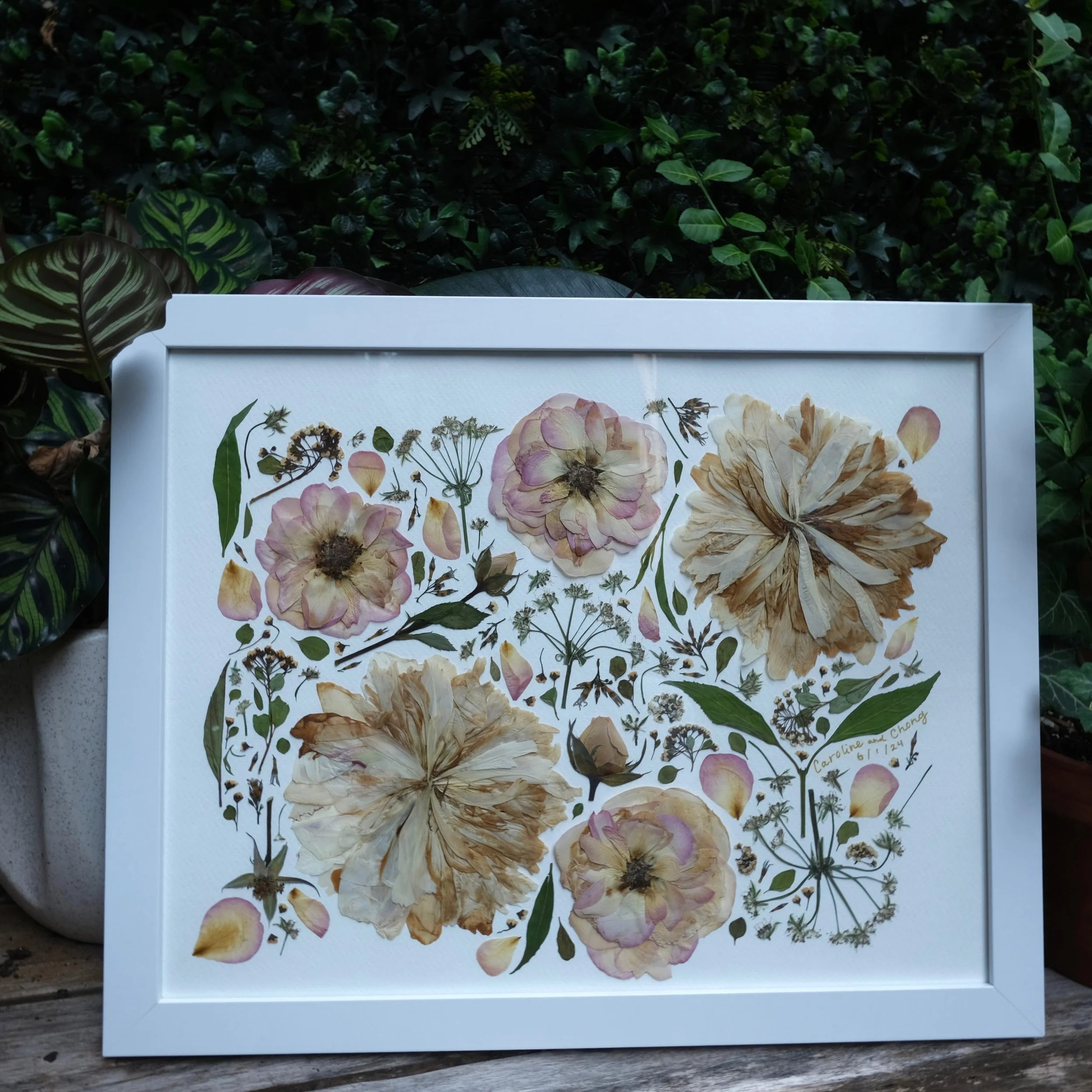 Framed pressed flower art with pink and cream flowers, green leaves, and botanical elements, signed by Caroline and Cheong.