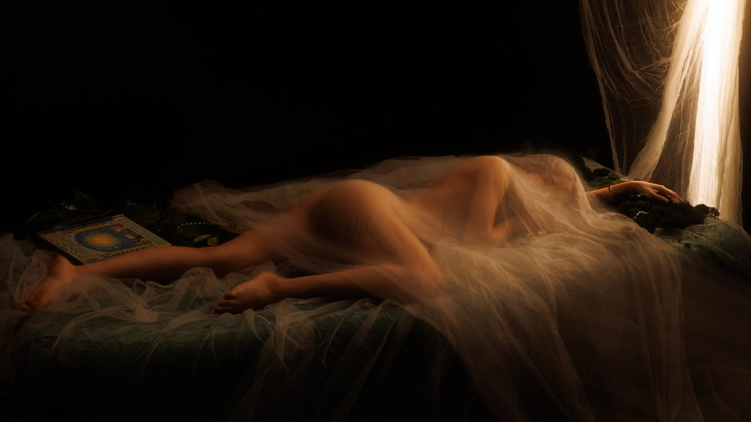 4 Second Exposure, Tulle in Motion