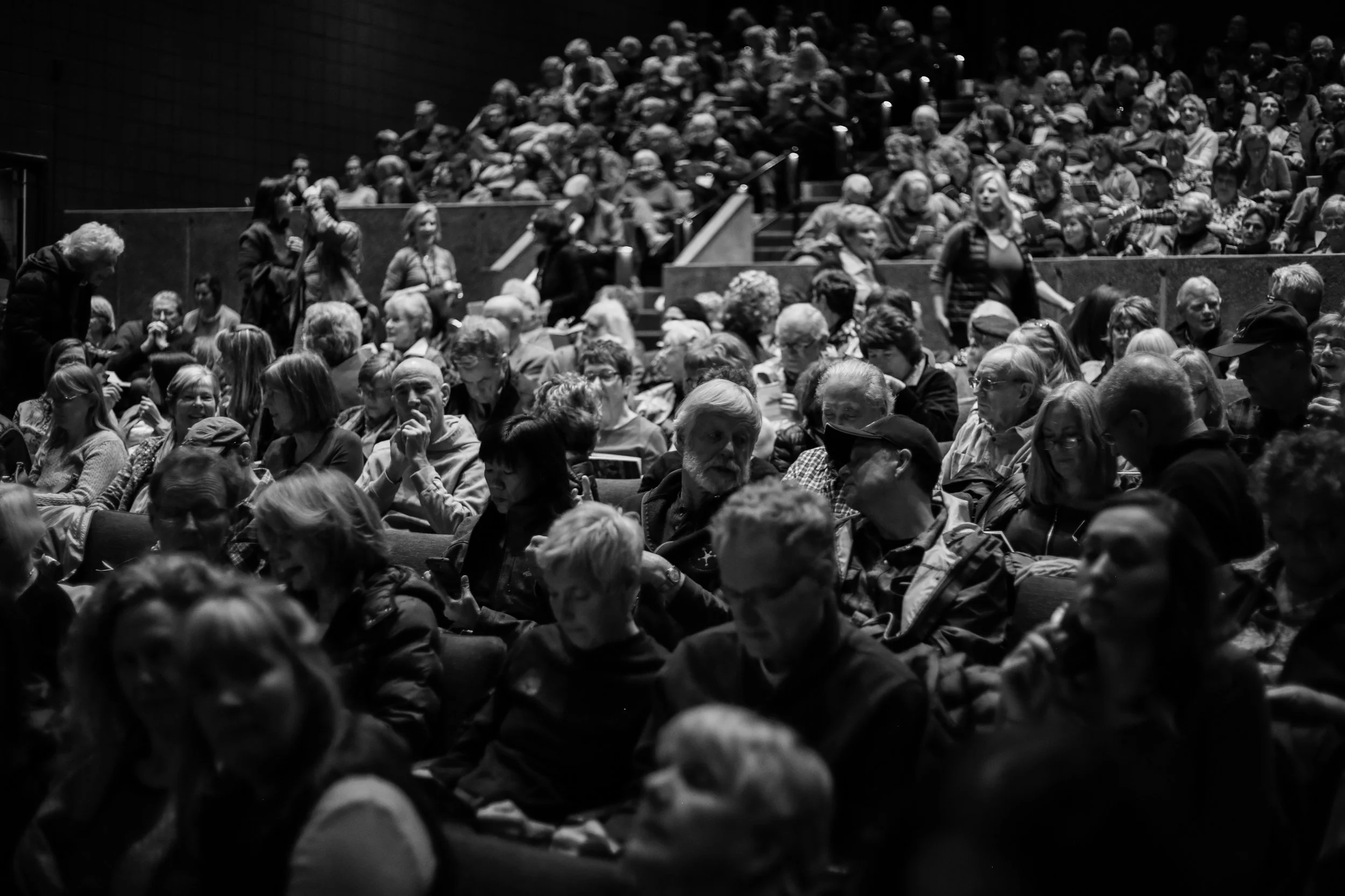 AIFF 2025 FESTIVAL PREVIEW NIGHT