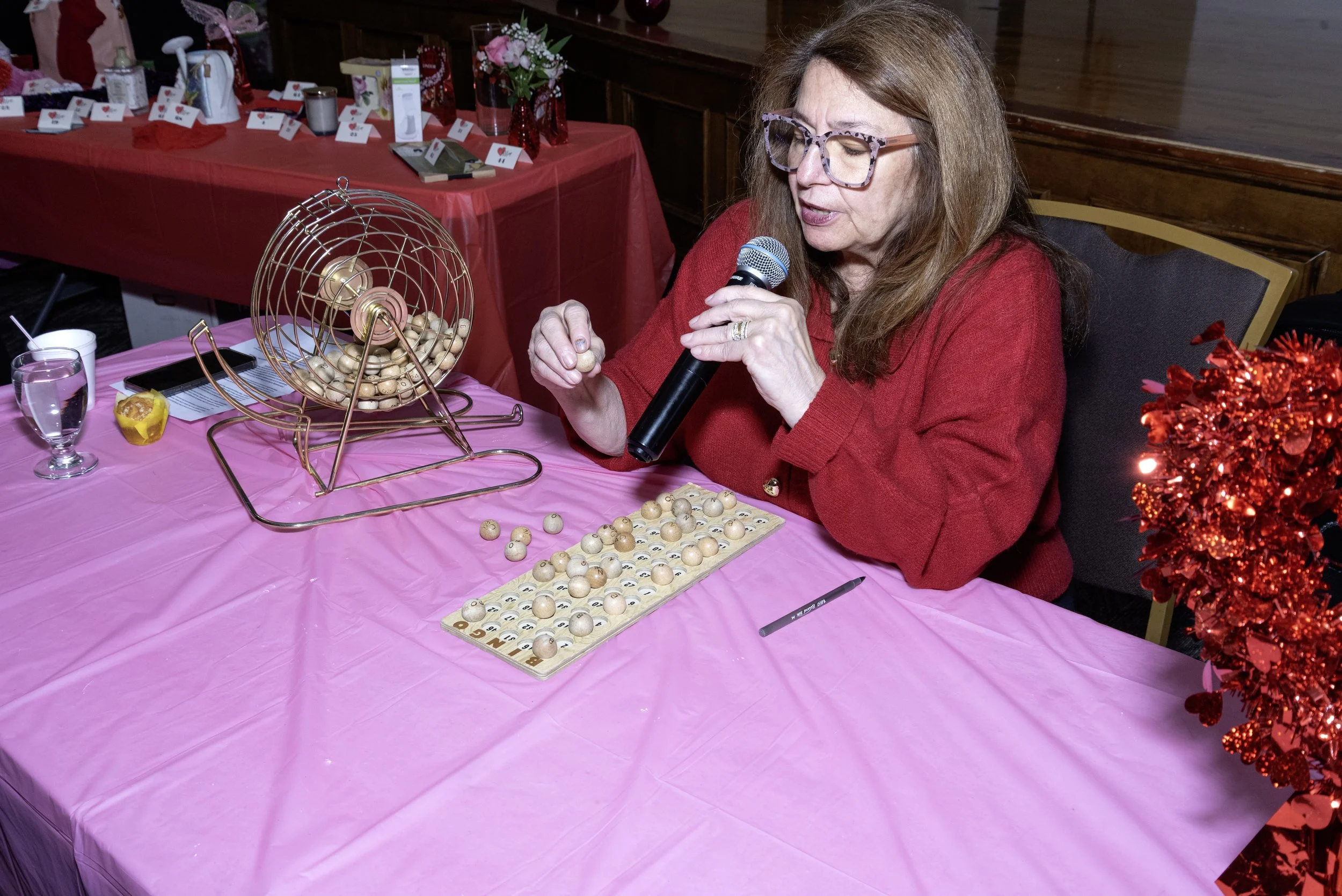 Bingo Caller.jpg