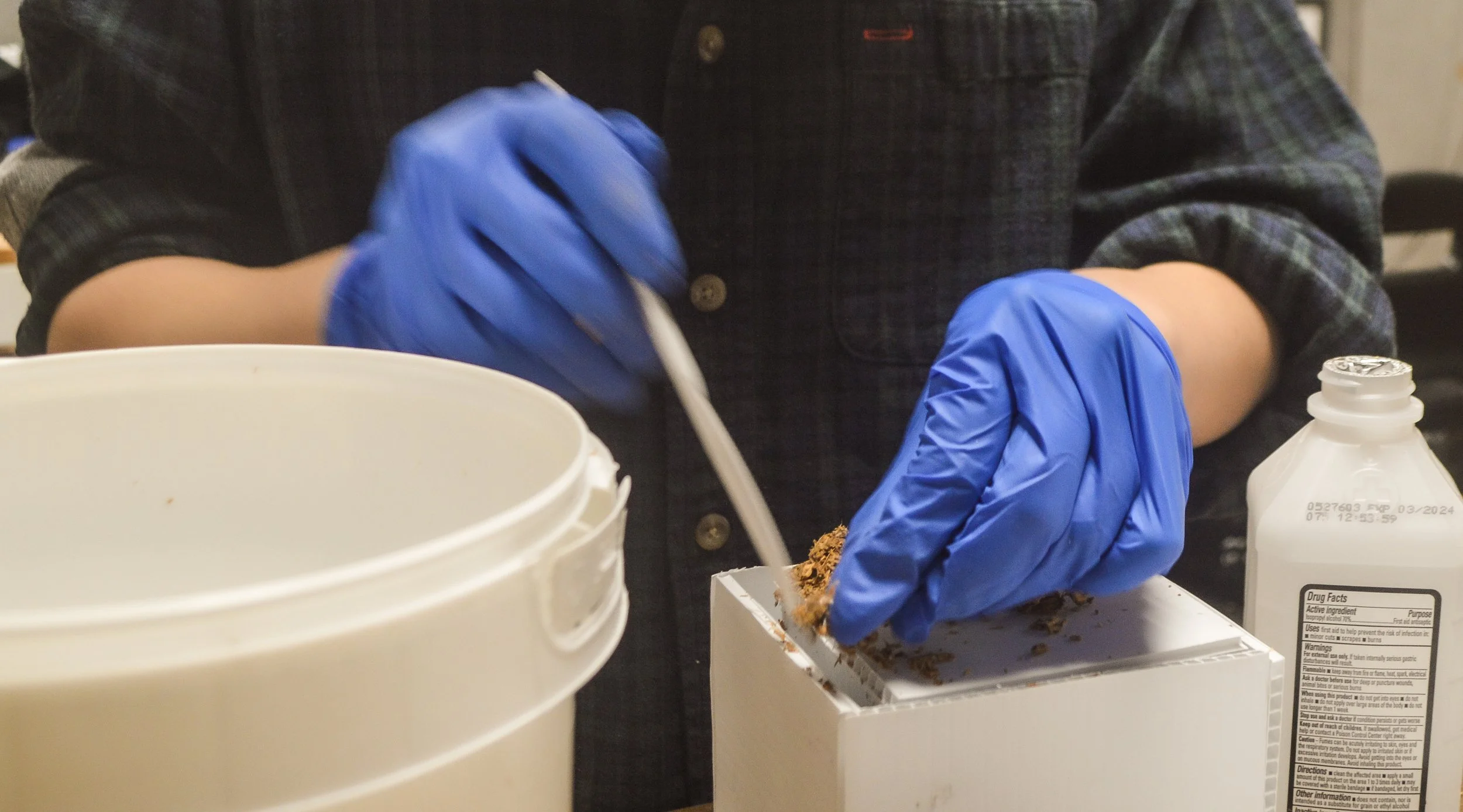3. Filling the mold with hemp substrate