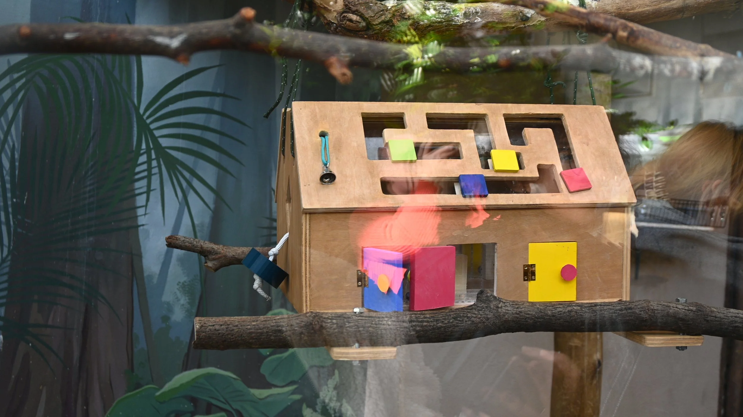 Animal Enrichment for Roger Williams Zoo–Toucan Play House