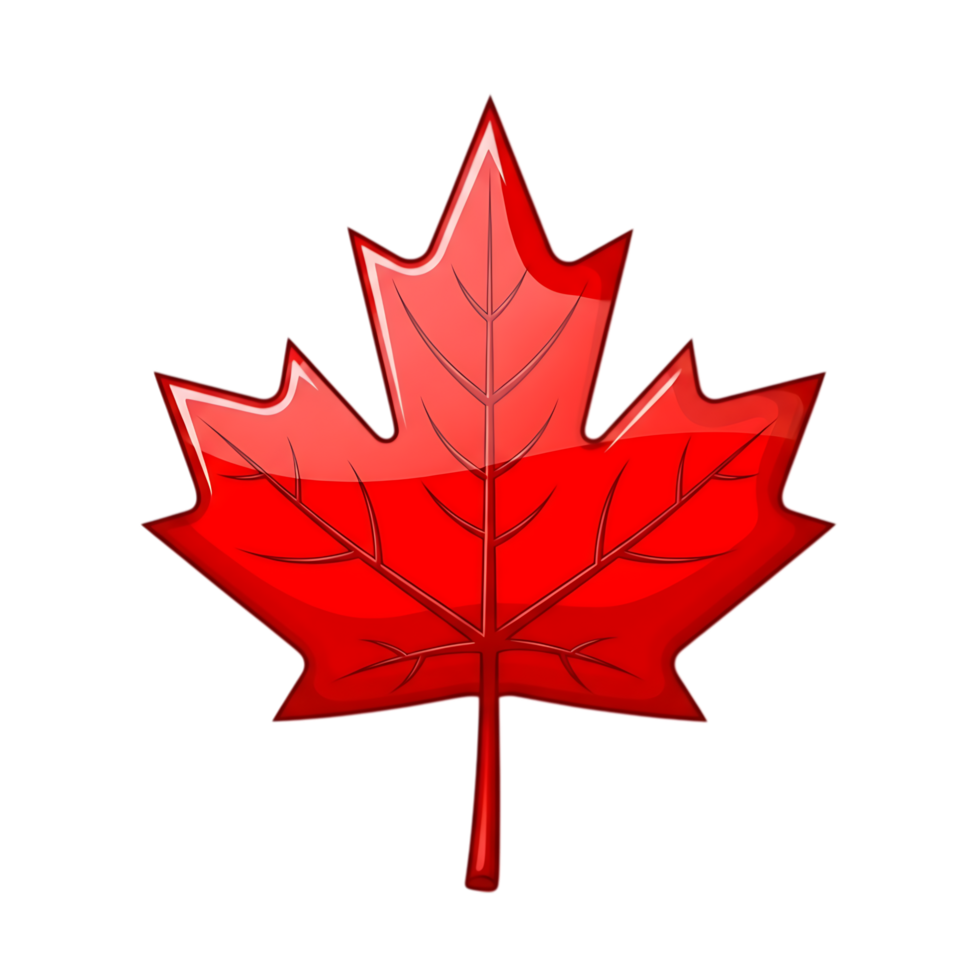 A red maple leaf with detailed veins and a shiny appearance representing canada soul connection with nature