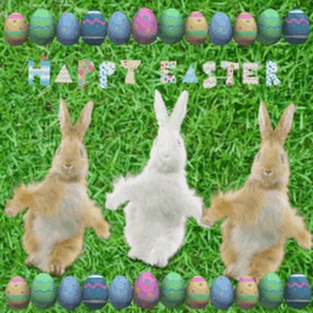 We are closed today for Easter! See you next week!