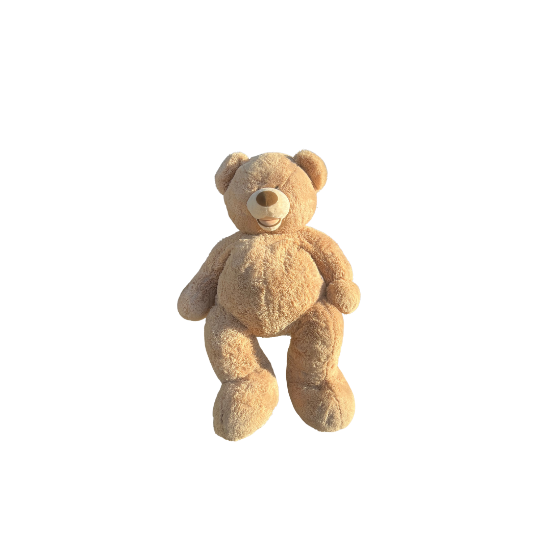 Untitled design - 2024-09-12T130204.926.png