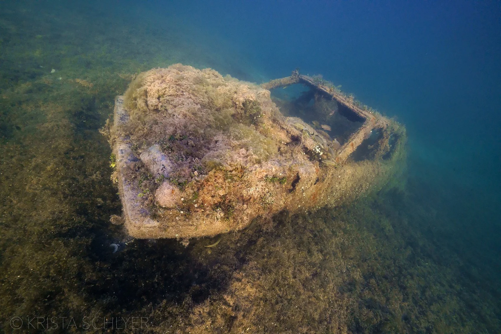 Bahamas Abacos 5-26-23-7302795.jpg