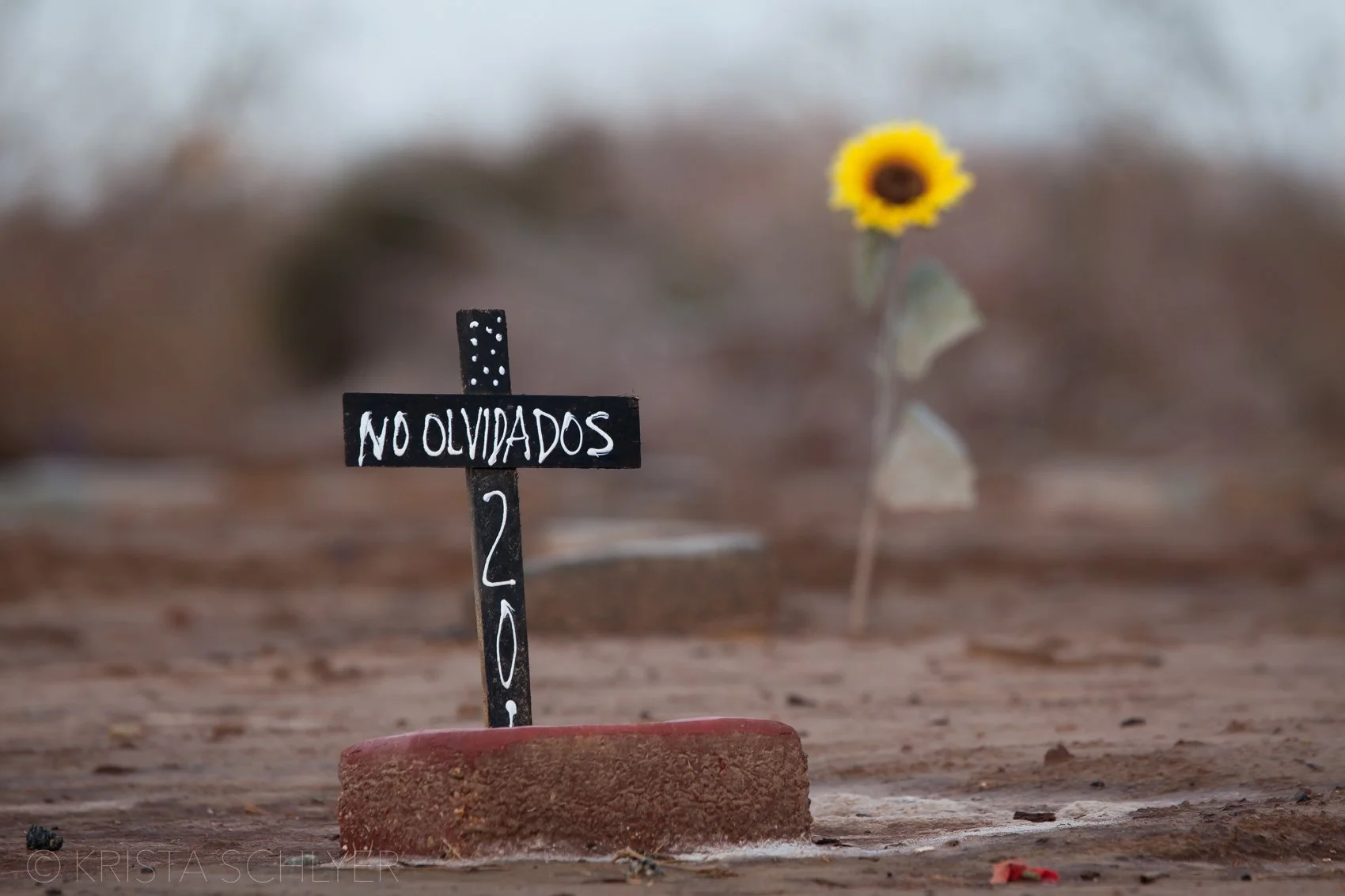 Borderlands 3-4-2011-5615.jpg