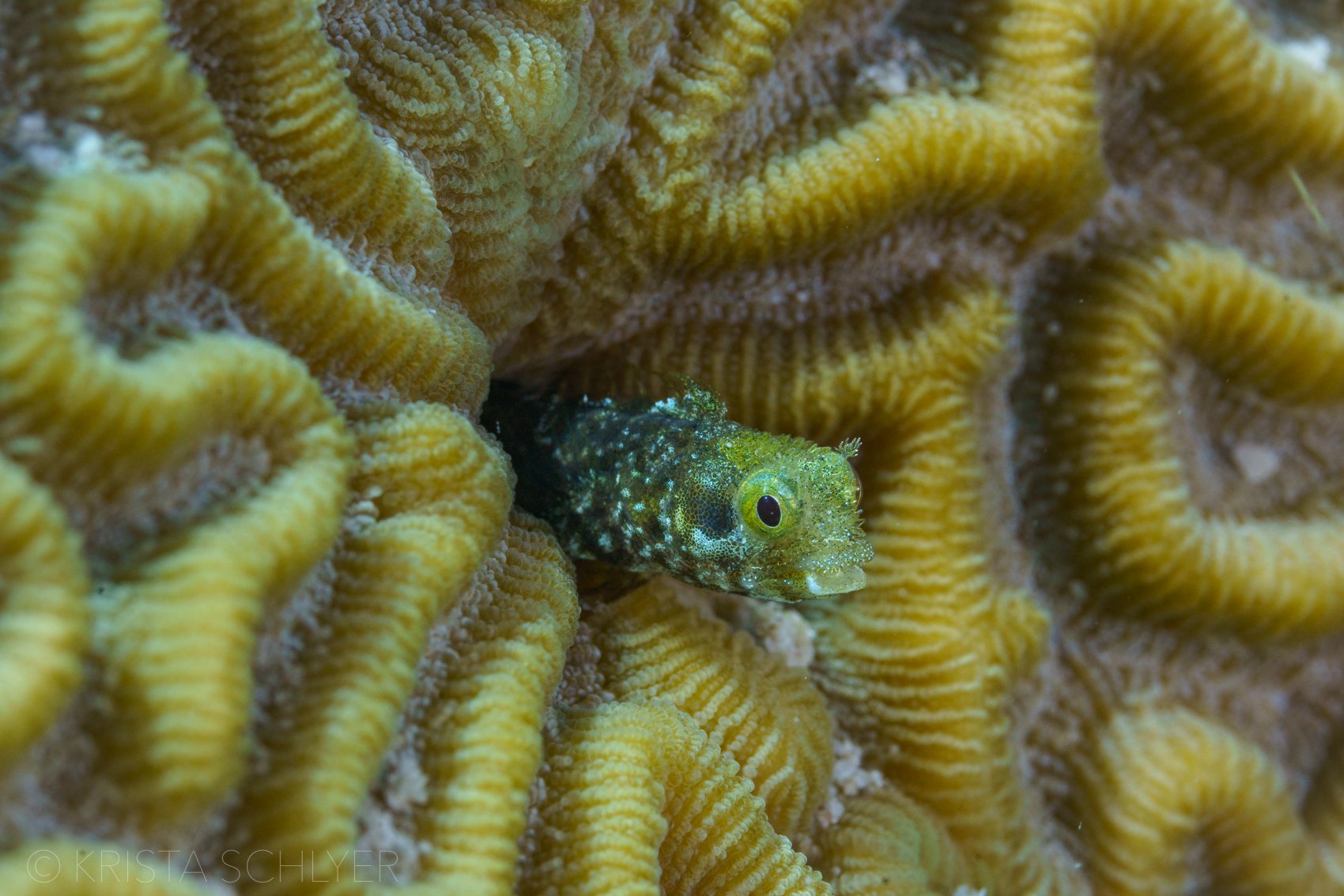 Bonaire 12-1-2022-7309352.jpg