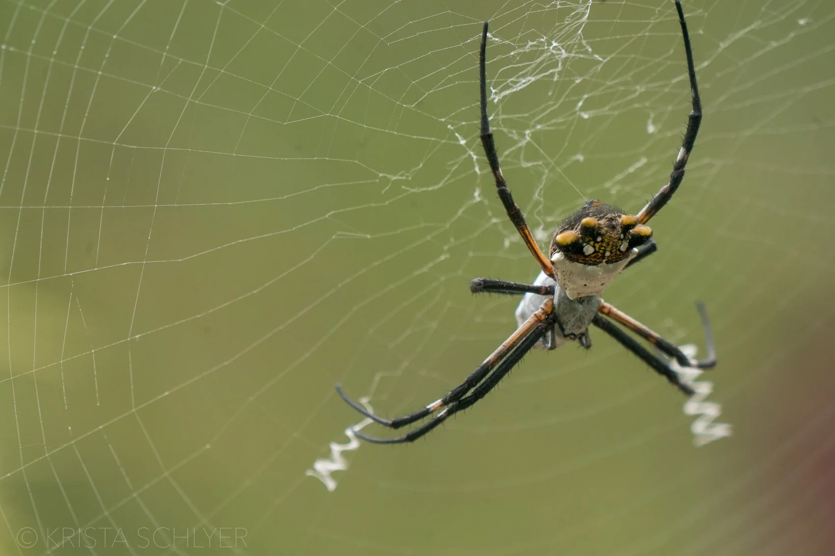 Border 4-23-2019 -05488.jpg