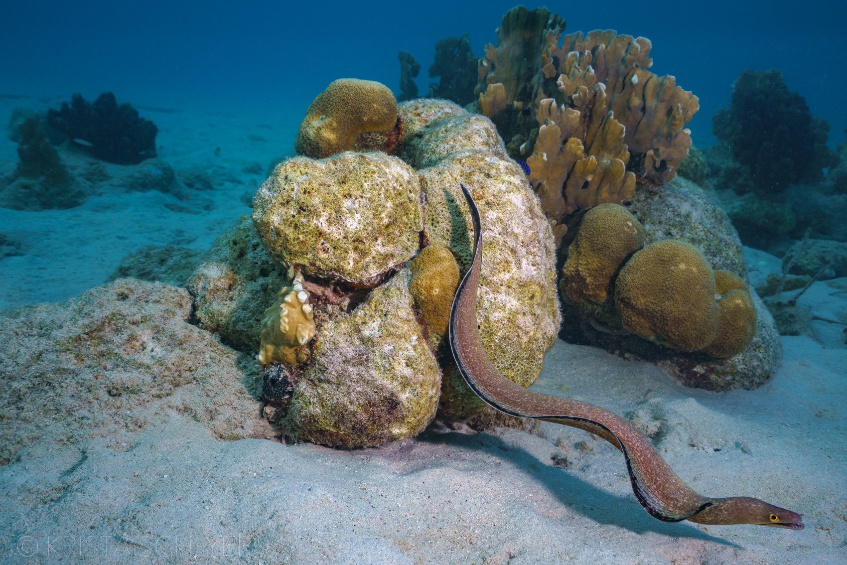 Bonaire 12-1-2022-7309015.jpg