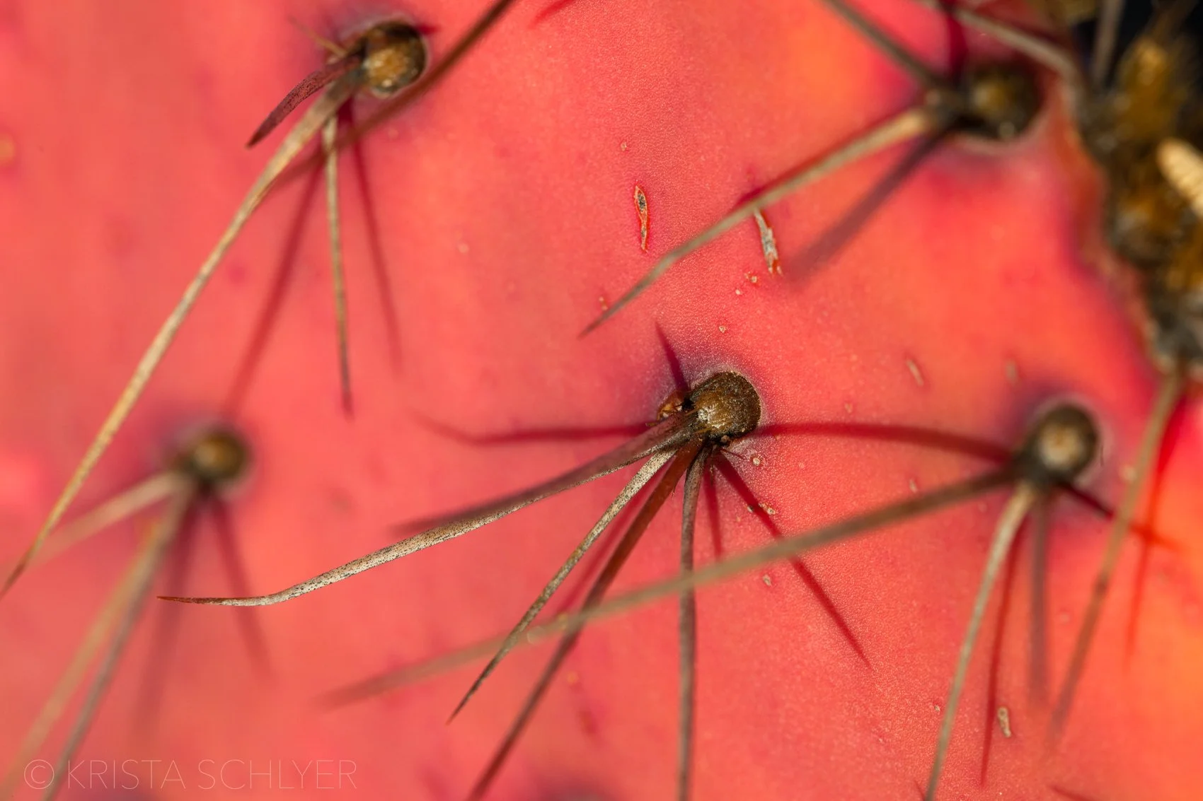 Borderlands 2-16-2011-1684.jpg