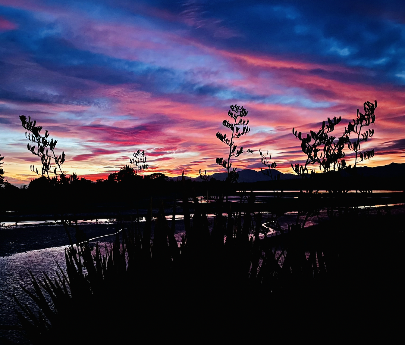 Compassionate Communities and Māori Ageing at End of Life