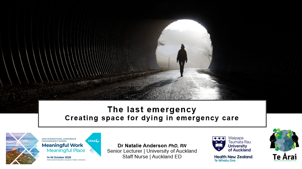 The Last Emergency