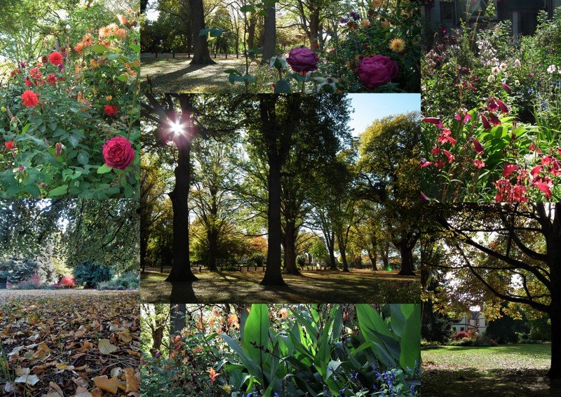 I have a garden which borders a park which was closed to the public, and my access meant that I had the beautiful gardens to myself. - Julia Thomas, Retiree, Riccaton