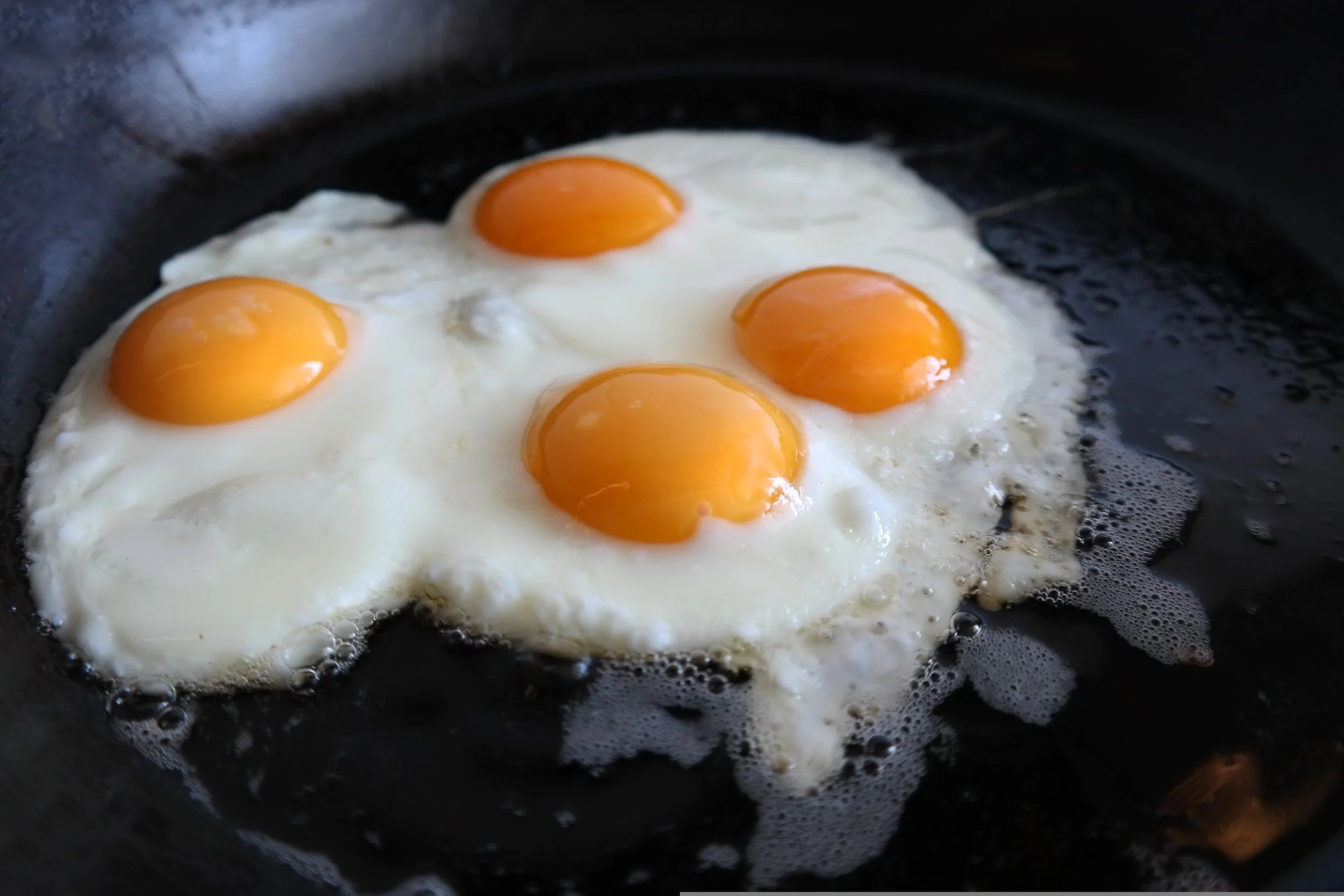 VOLUNTEER APPRECIATION BREAKFAST - LOWER EYRE COUNCIL