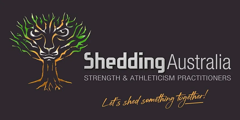 Shedding Australia The forest Retreat Studio