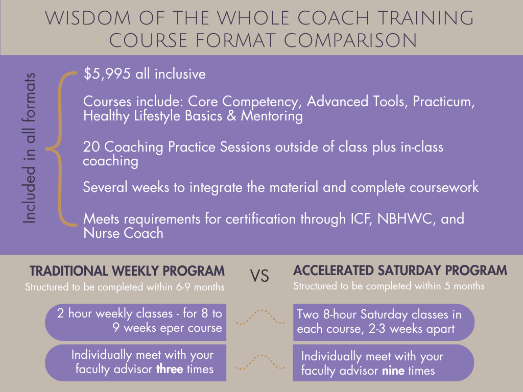 Course format comparison infographic
