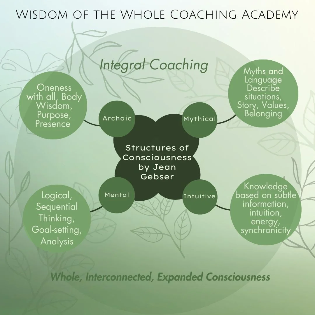 holistic coaching diagram