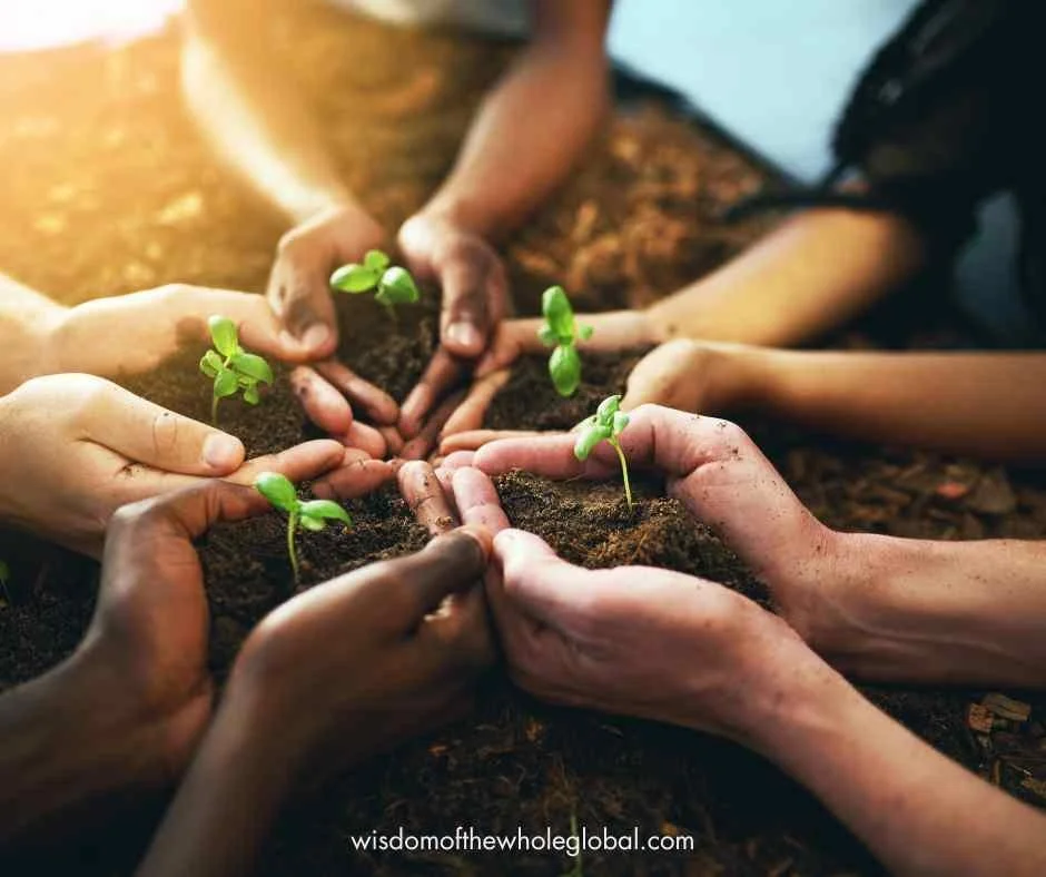 planting seedlings for personal growth