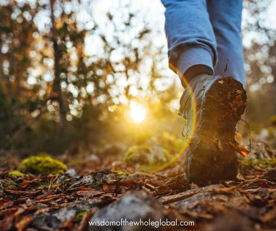 Nature based coaching for health
