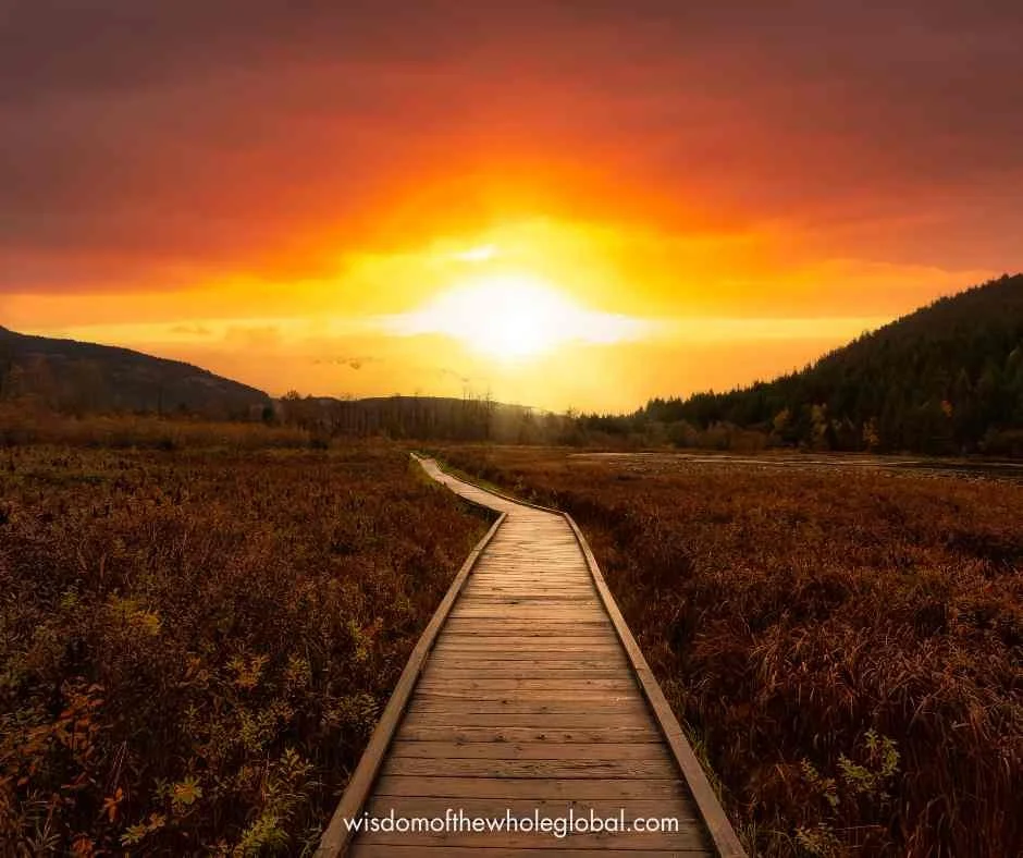 sunset trail over pretty marshland