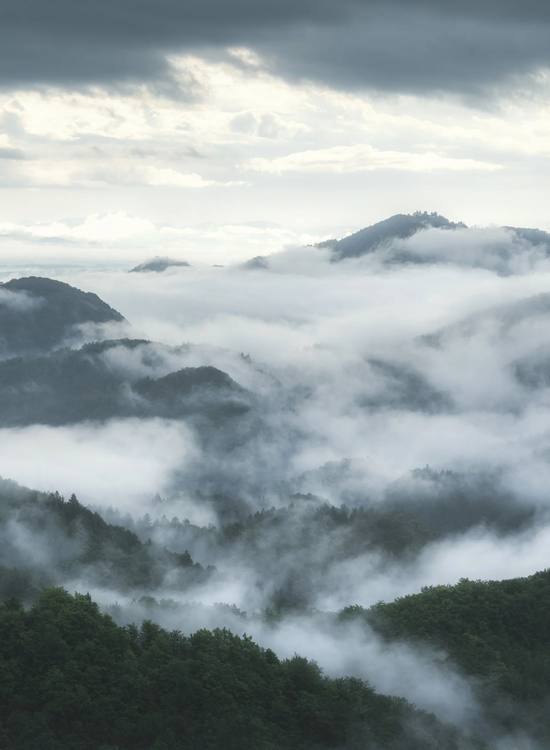 Misty mountain landscape with green forested mountains and clouds or fog covering the peaks and valleys.