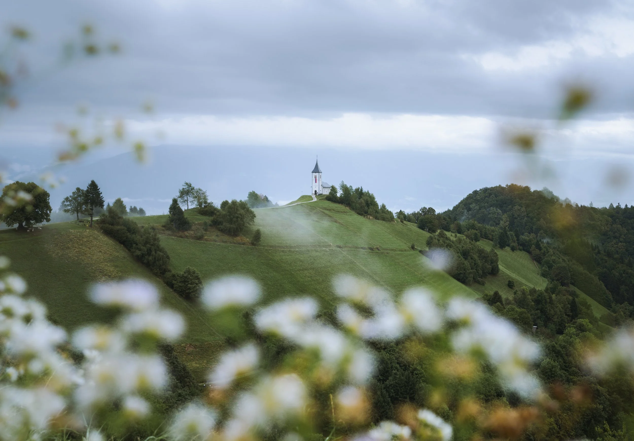A church on a hilltop surrounded by green rolling hills and trees, with clouds in the sky and some white flowers in the foreground.