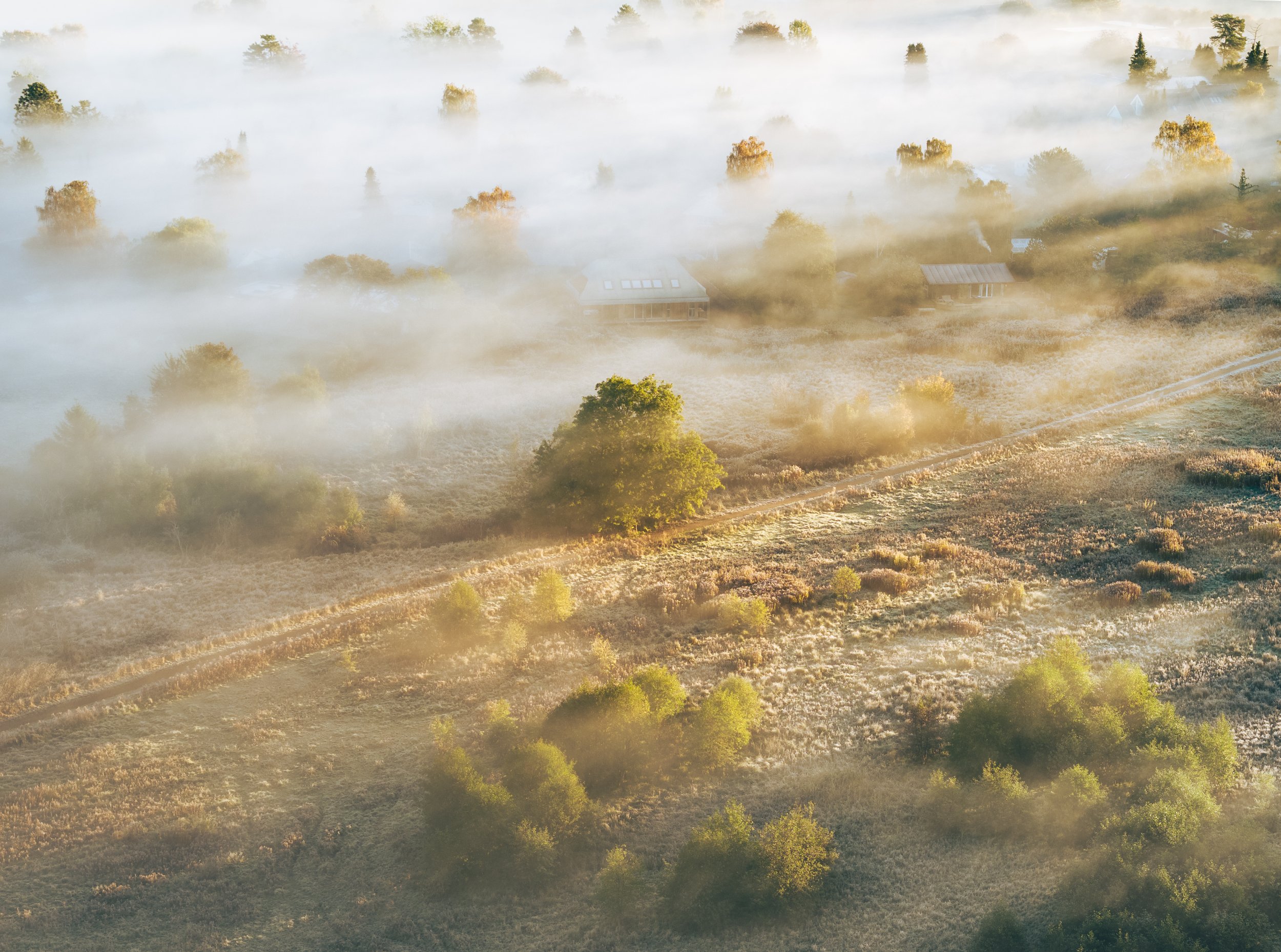 DJI_20251019083616_0601_D.jpg