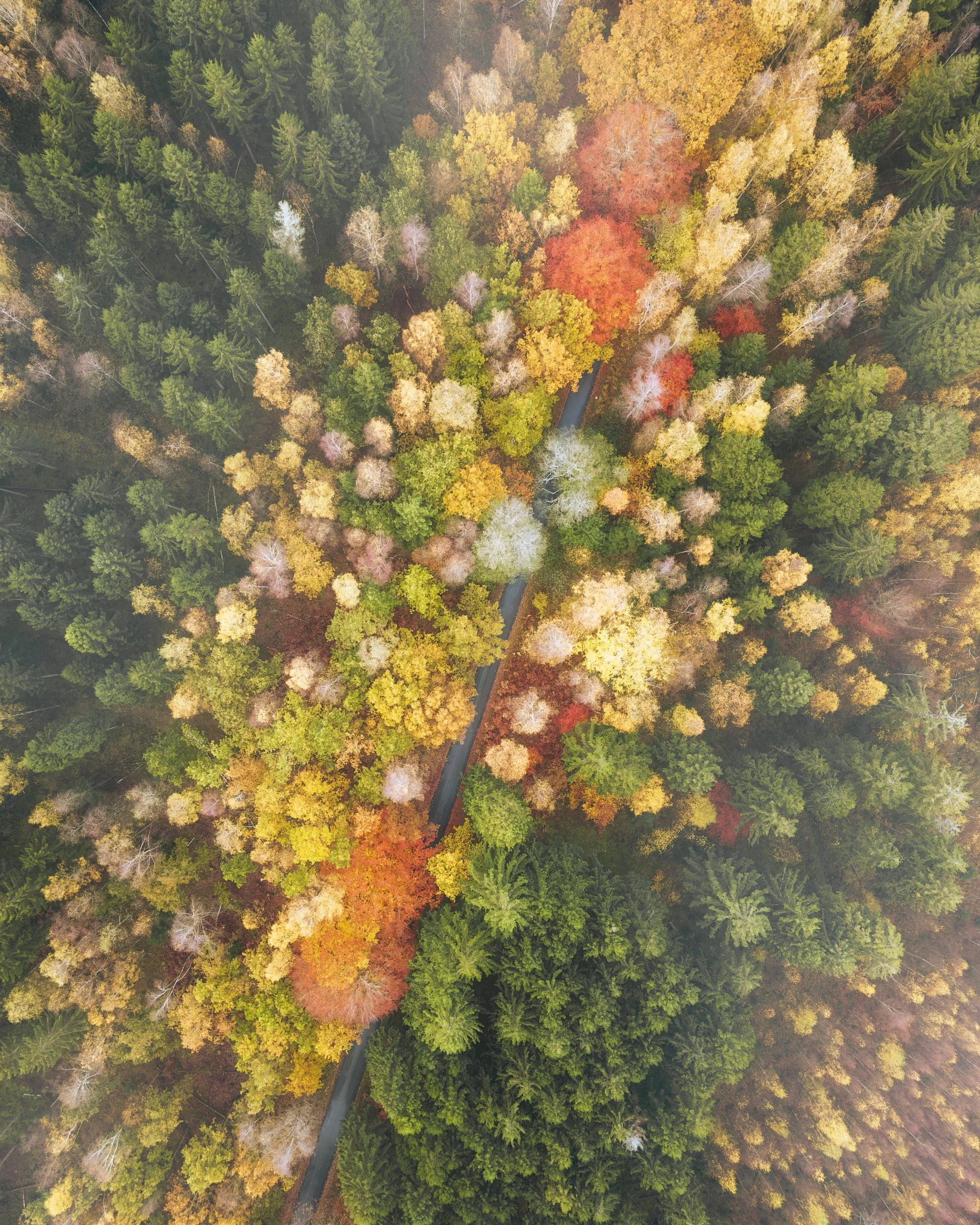 DJI_20251102155403_0663_D-Edit.jpg
