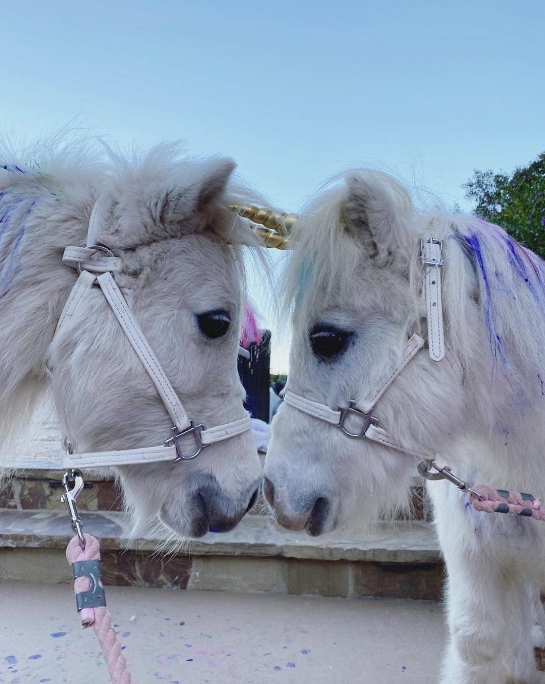 Screenshot 2023-08-18 at 2.42.56 AM.png