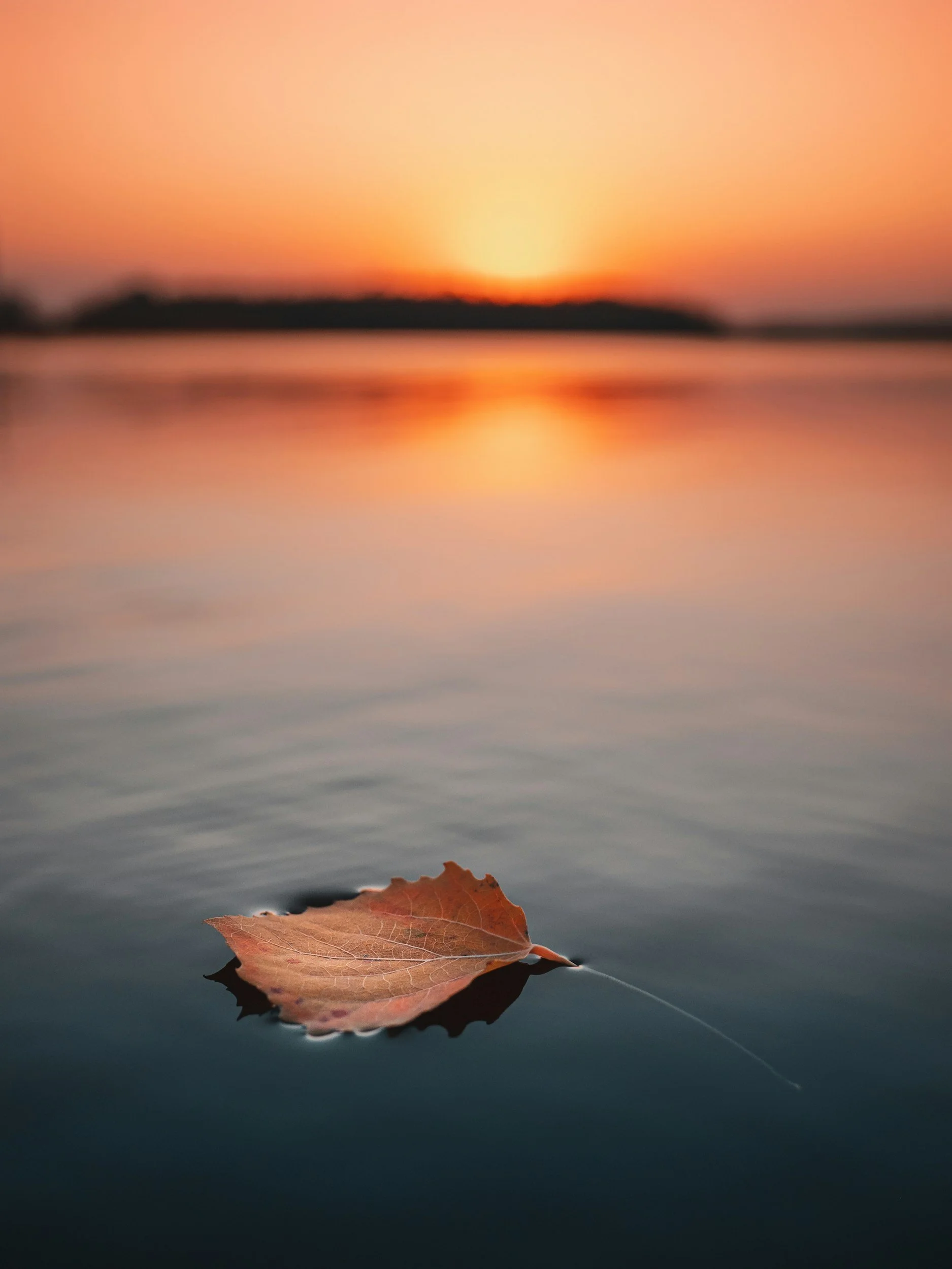 Well-Being Photo-Walk By The Baltic Sea III - Autumn Editition
