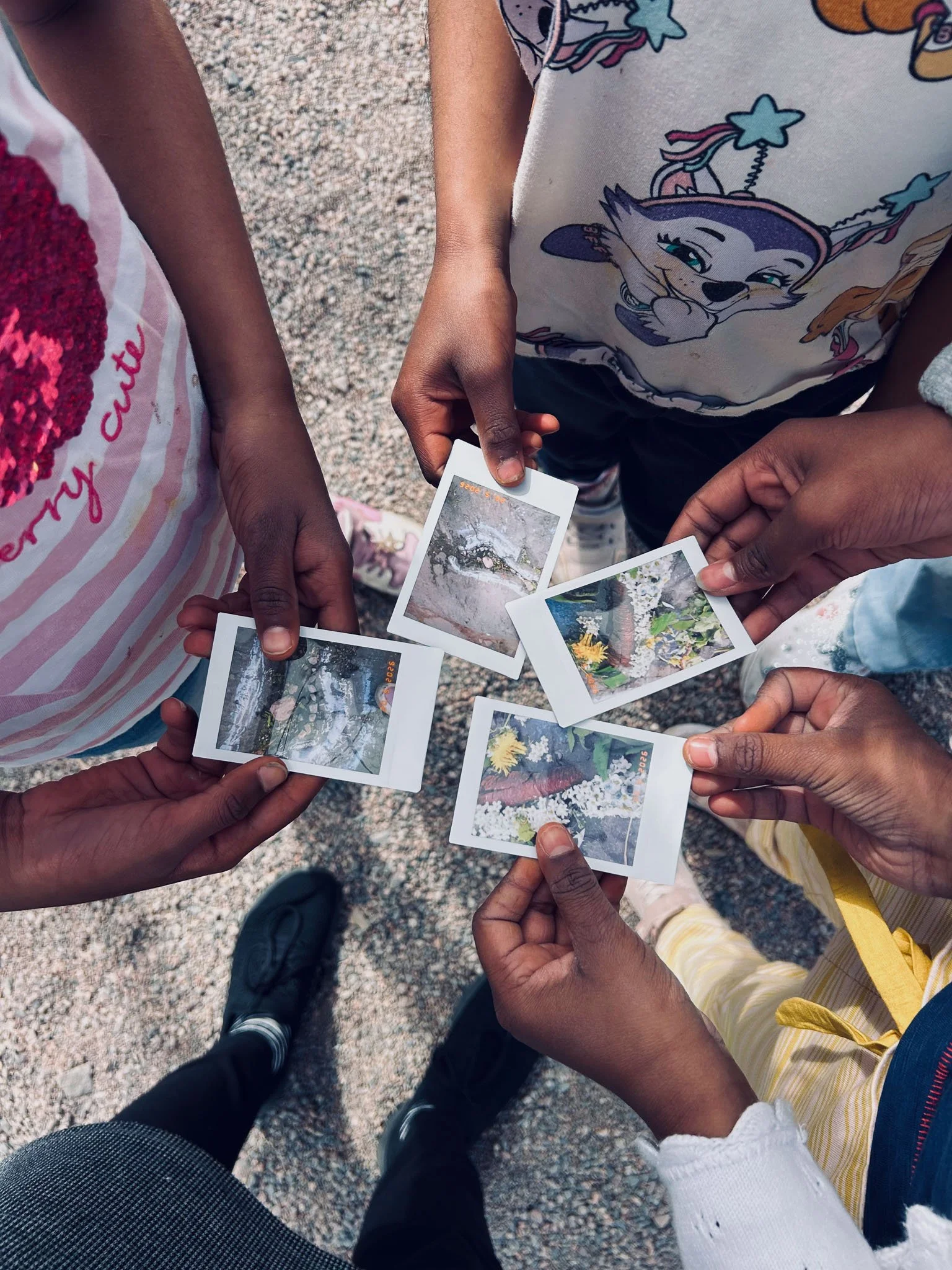 6 Ways Photography Supports Children’s Well-Being - Nature Play Workshop at Merilahden School