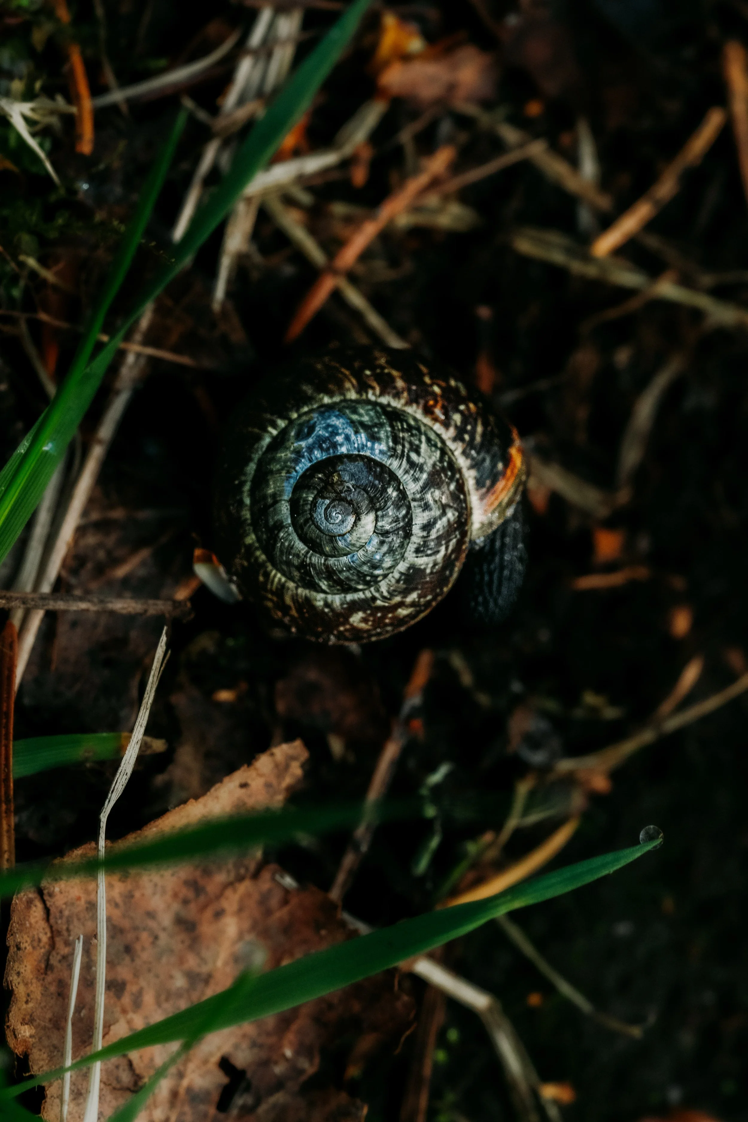 We All Live Within Nature's Cycles, 2026