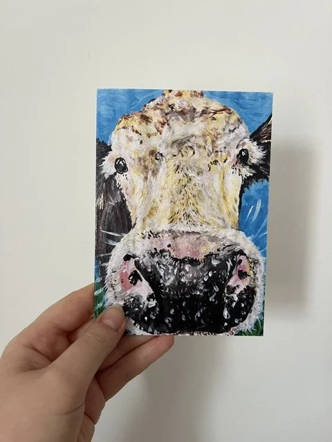 Hexham cows card