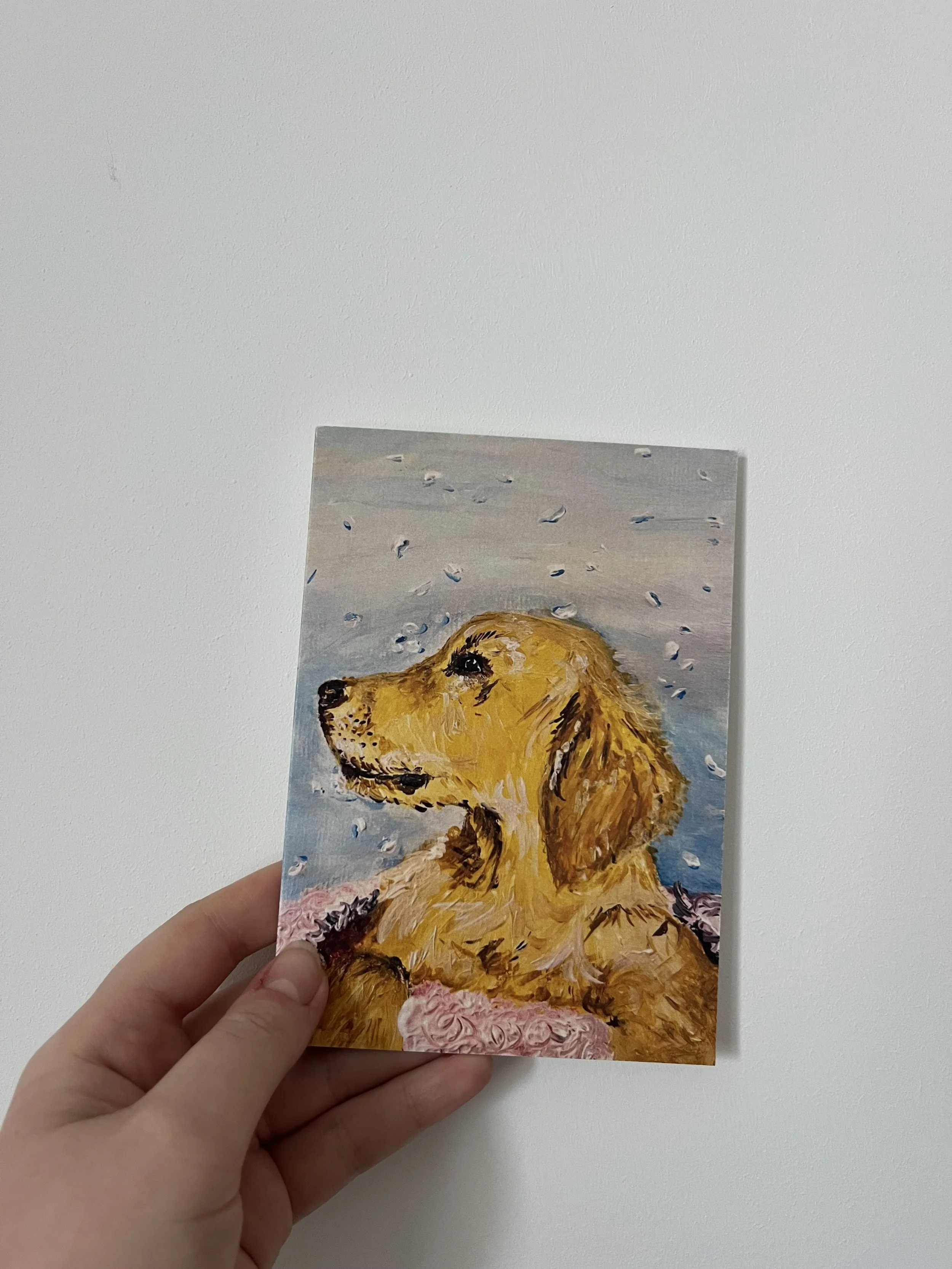 Monty in the snow card