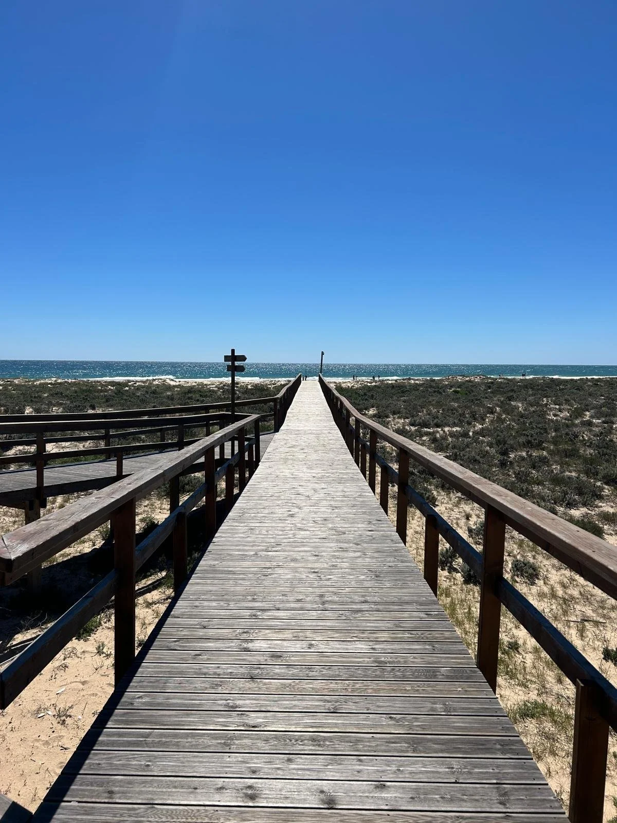 Widening Your Bandwidth: Breath- Body-Mind for regulation &amp; resilience