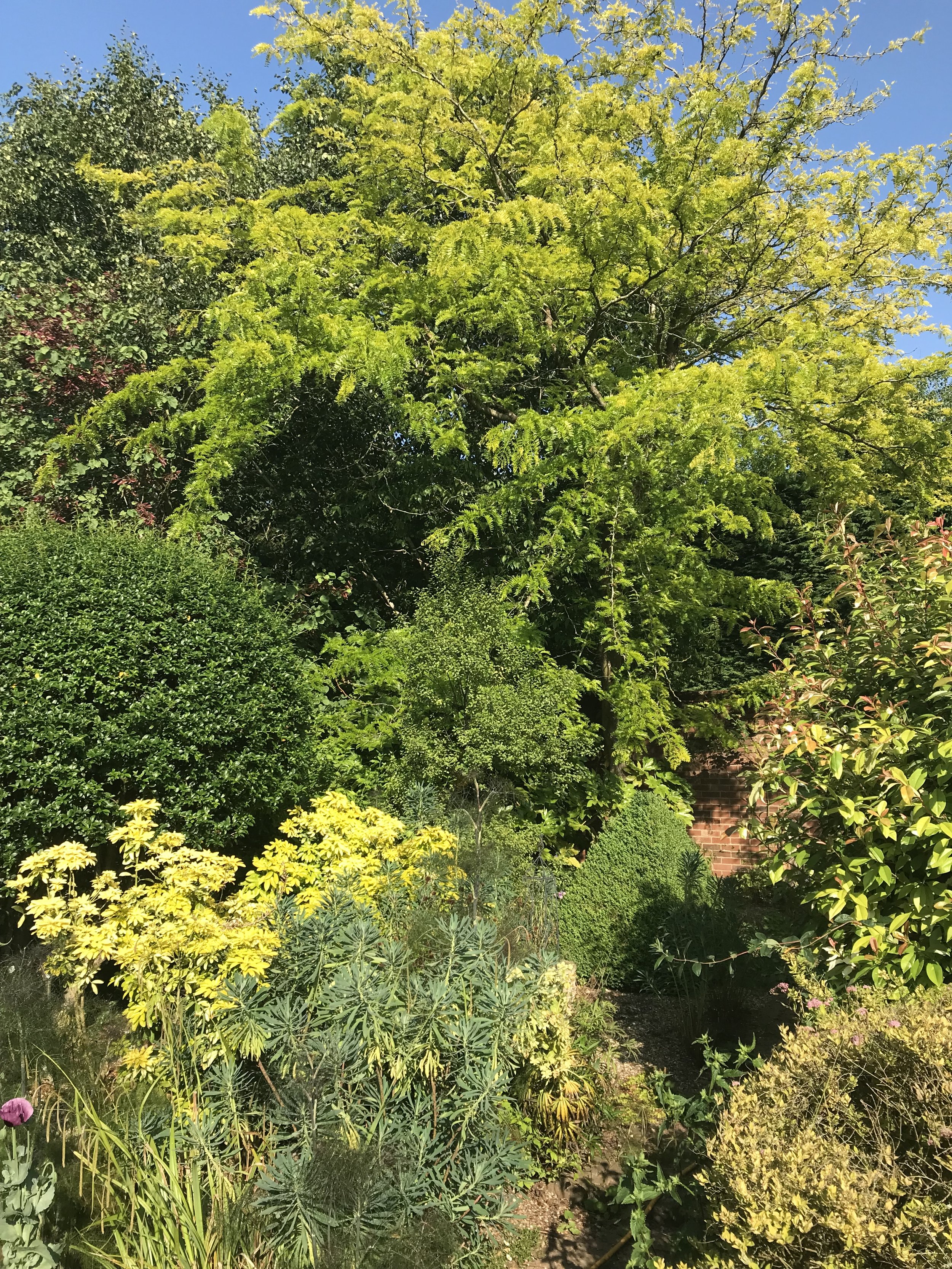 Abundance workshop