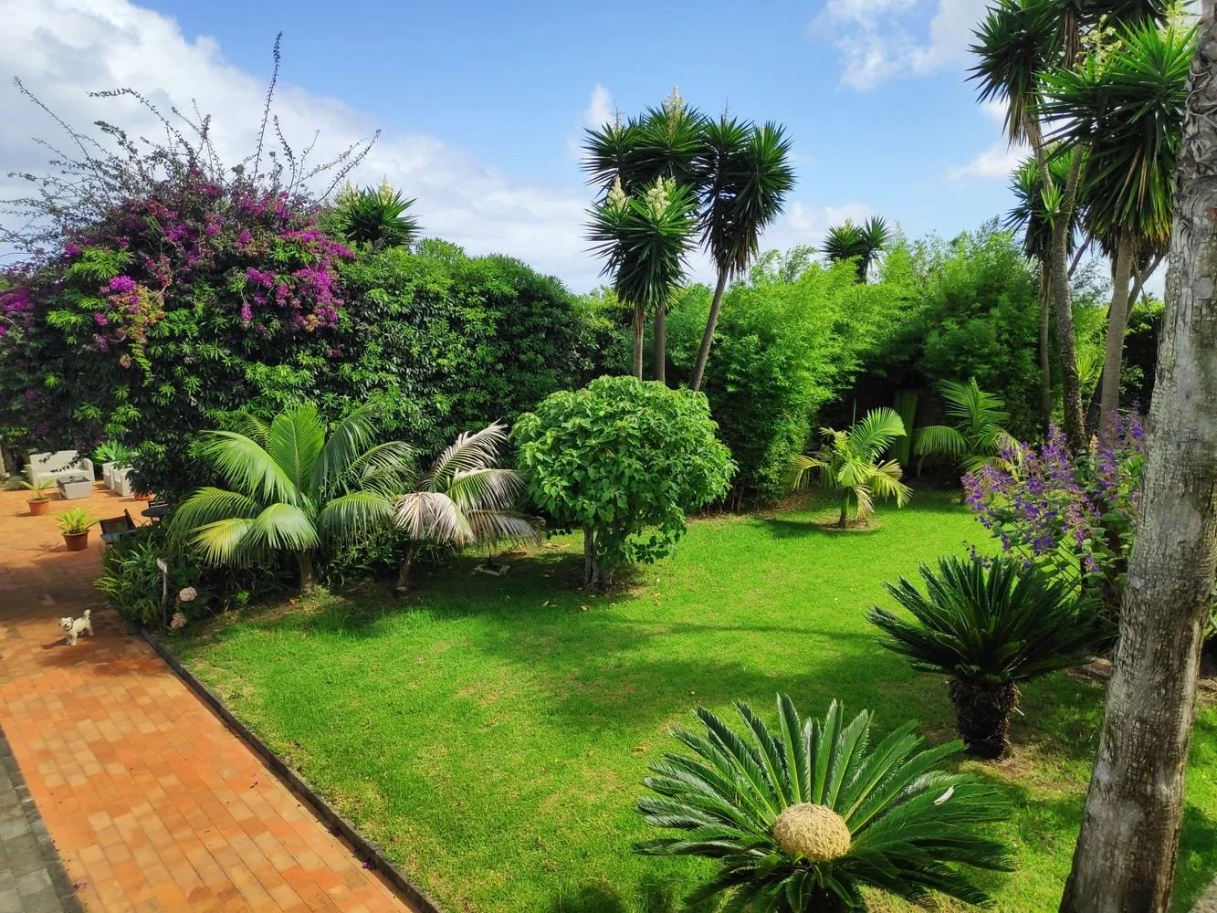 Azores Breath-Body-Mind Weekend Workshop