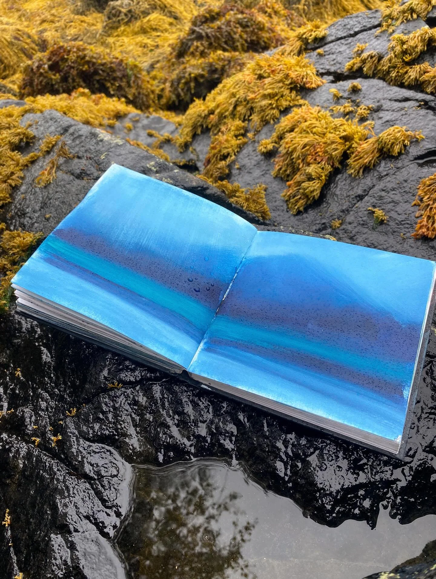 I&rsquo;m back in the stormy Highlands, and giving myself time to slowly return to the easel. 

The dark skies and wild seas couldn&rsquo;t be more perfect for painting- I&rsquo;m truly in my happy place here and finally feeling ready for some new wo