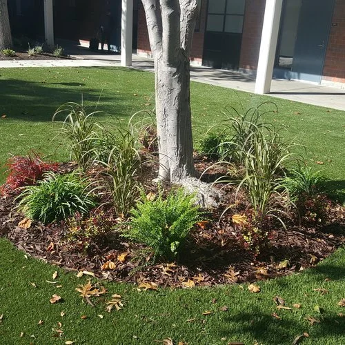 20161018_142508.jpg