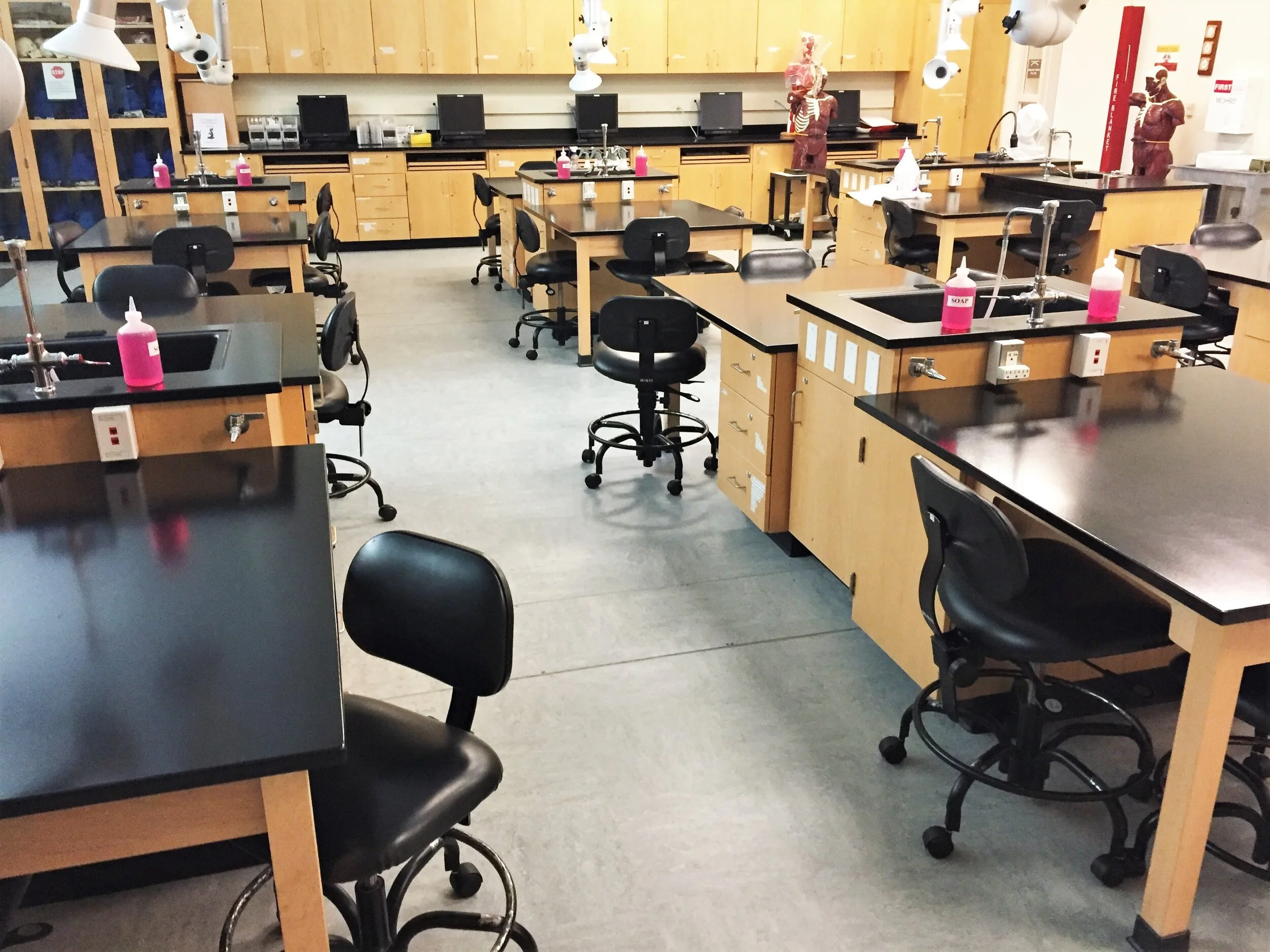 IMG_1538+panoramic.jpg