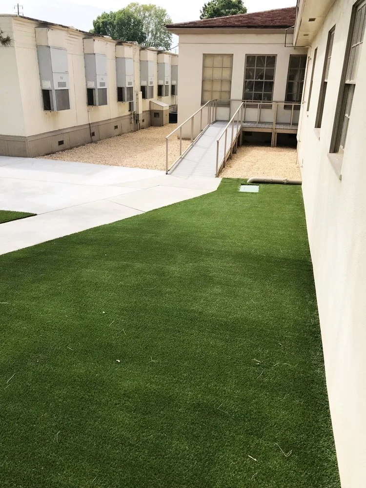 image-asset+(4) (1).jpeg