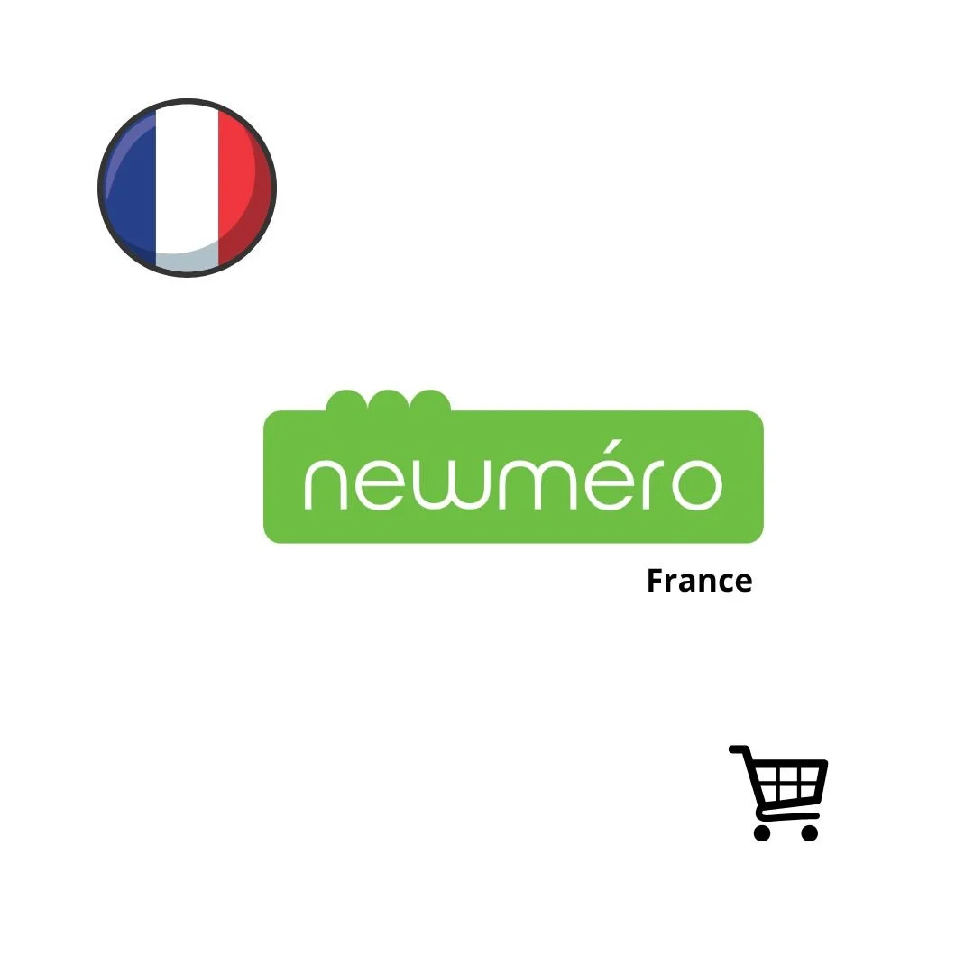 buy newmero bricks france.jpg