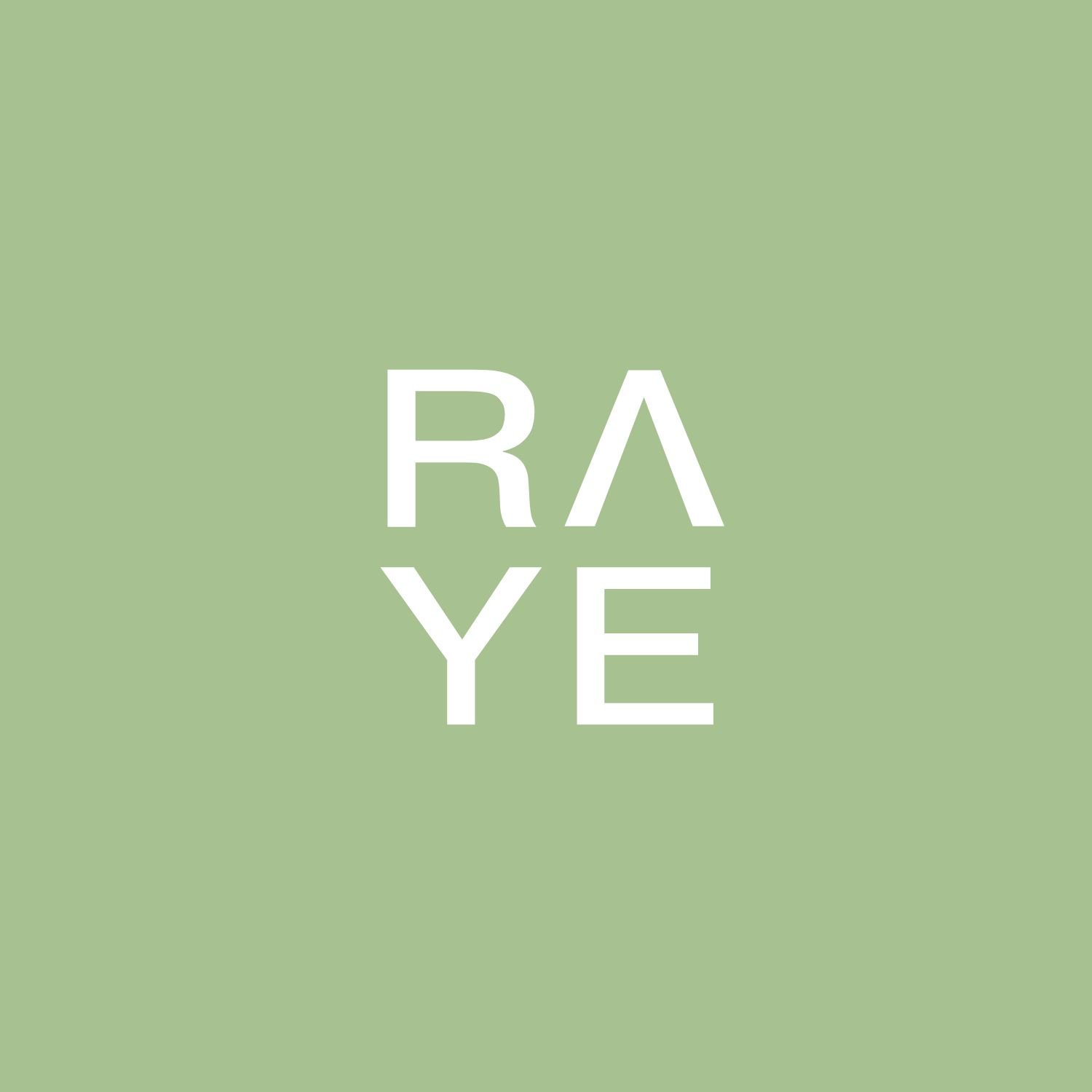 RAYE STUDIO LTD