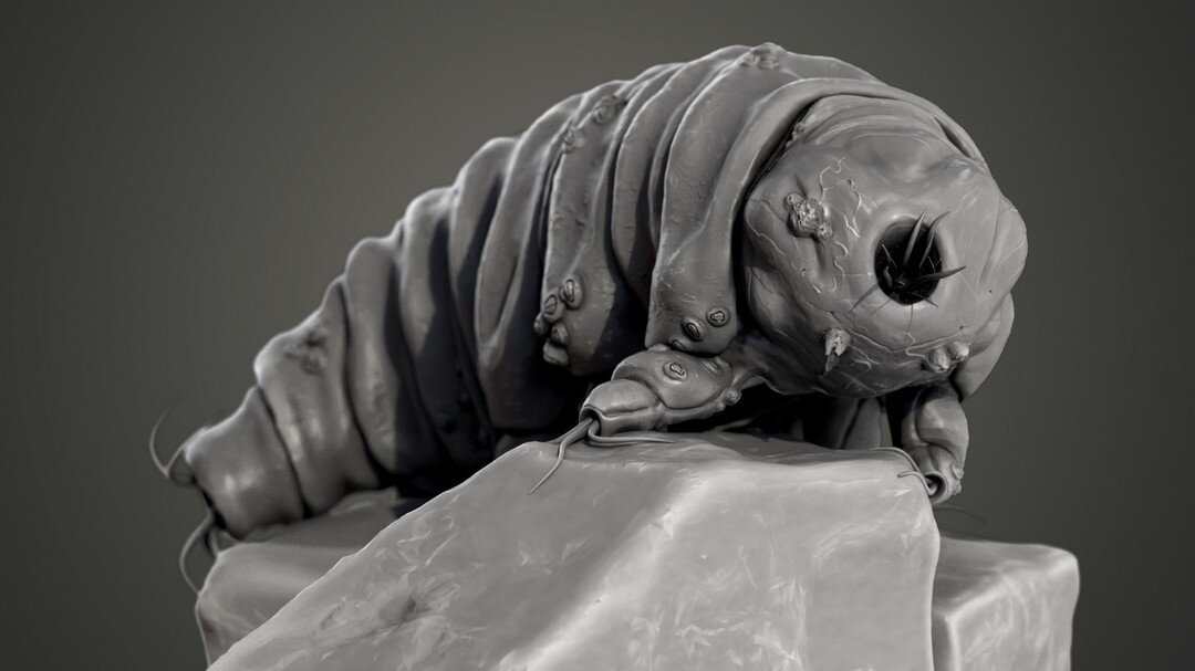 Plagued by Parasites - after asking some people for suggestions on what to do next, @samantha.creates gave me &quot;Tardigrade covered in boils&quot;. The base idea of using a microorganism really intrigued me, so I turned it into a macroscopic anima