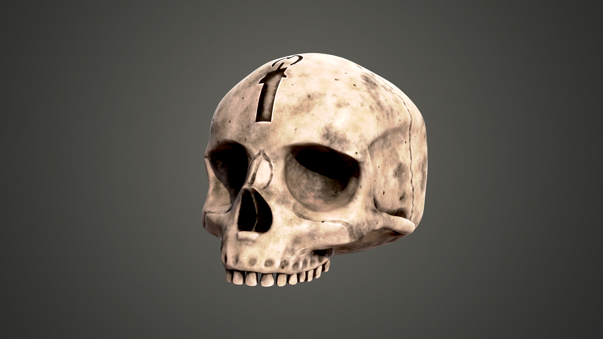 Free Blender Free Procedural Bone Texture